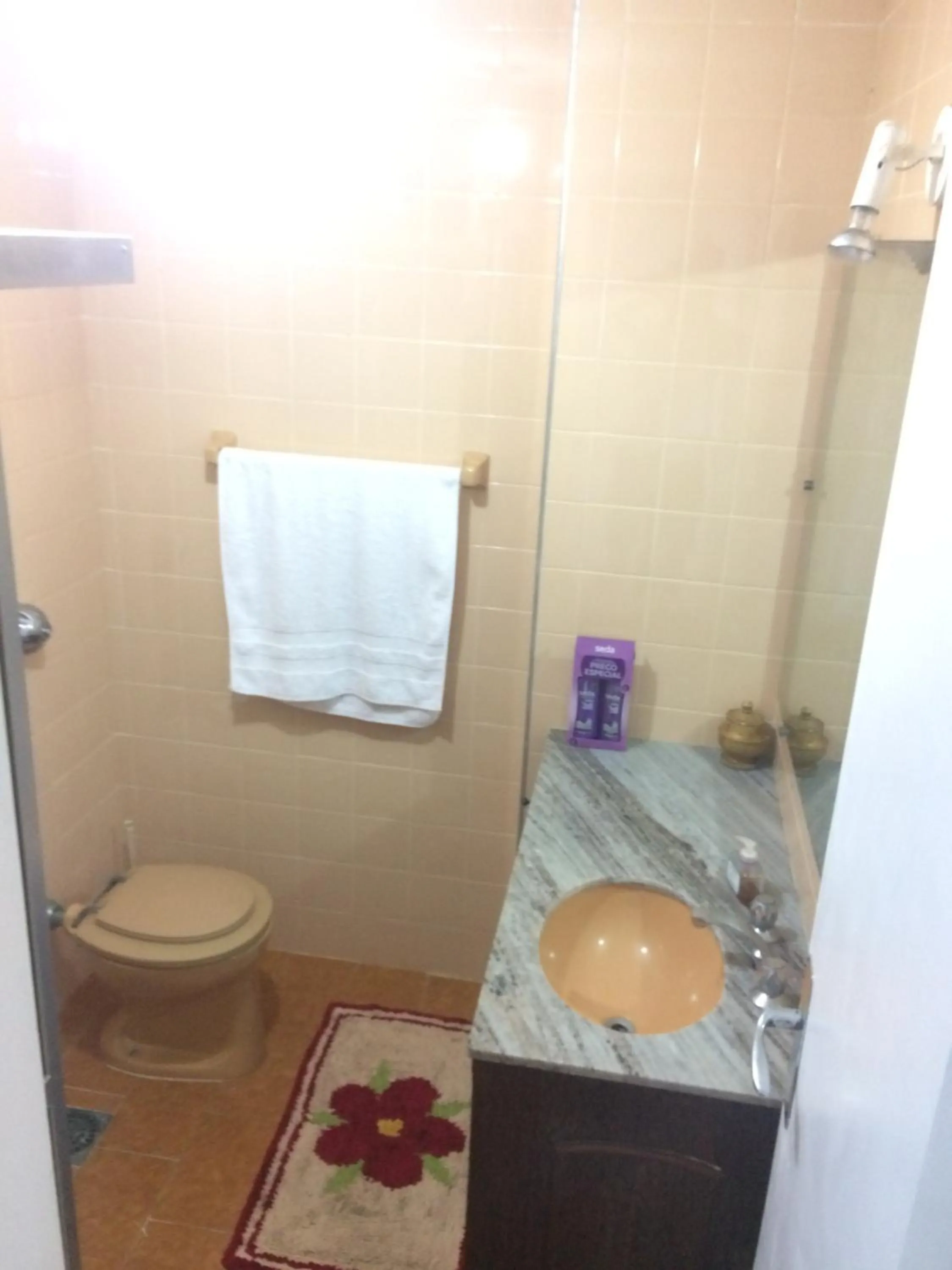 Shower in Apartamento Guarapari Brisa do Mar