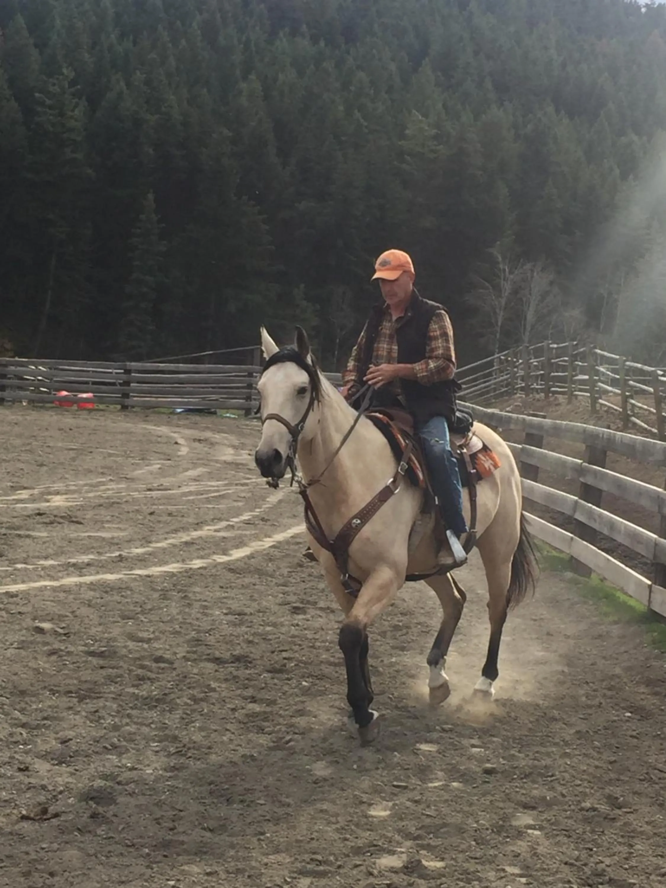 Horse-riding in Montana Hill Guest Ranch
