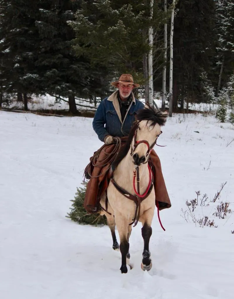Montana Hill Guest Ranch