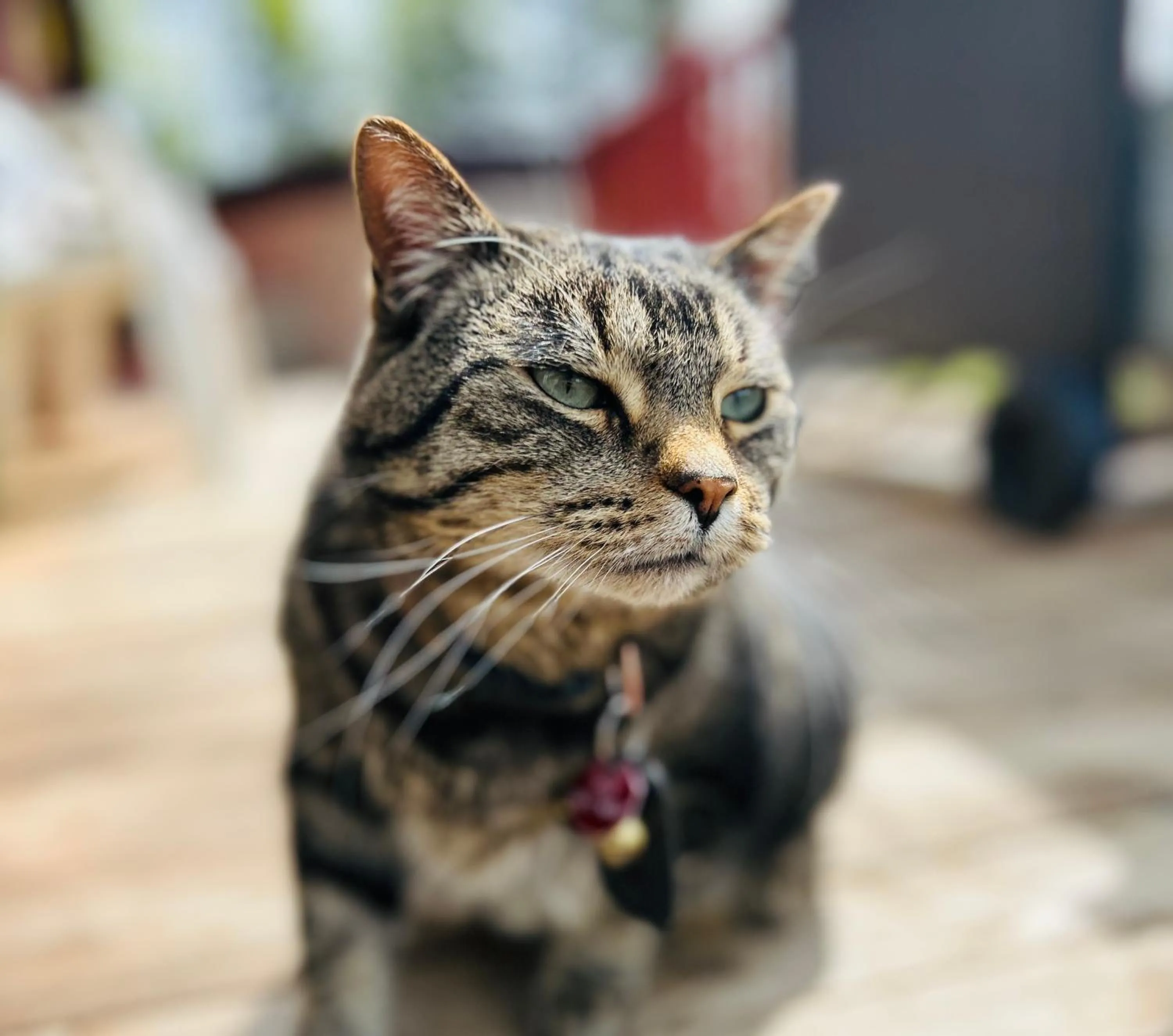 Montana Hill Guest Ranch