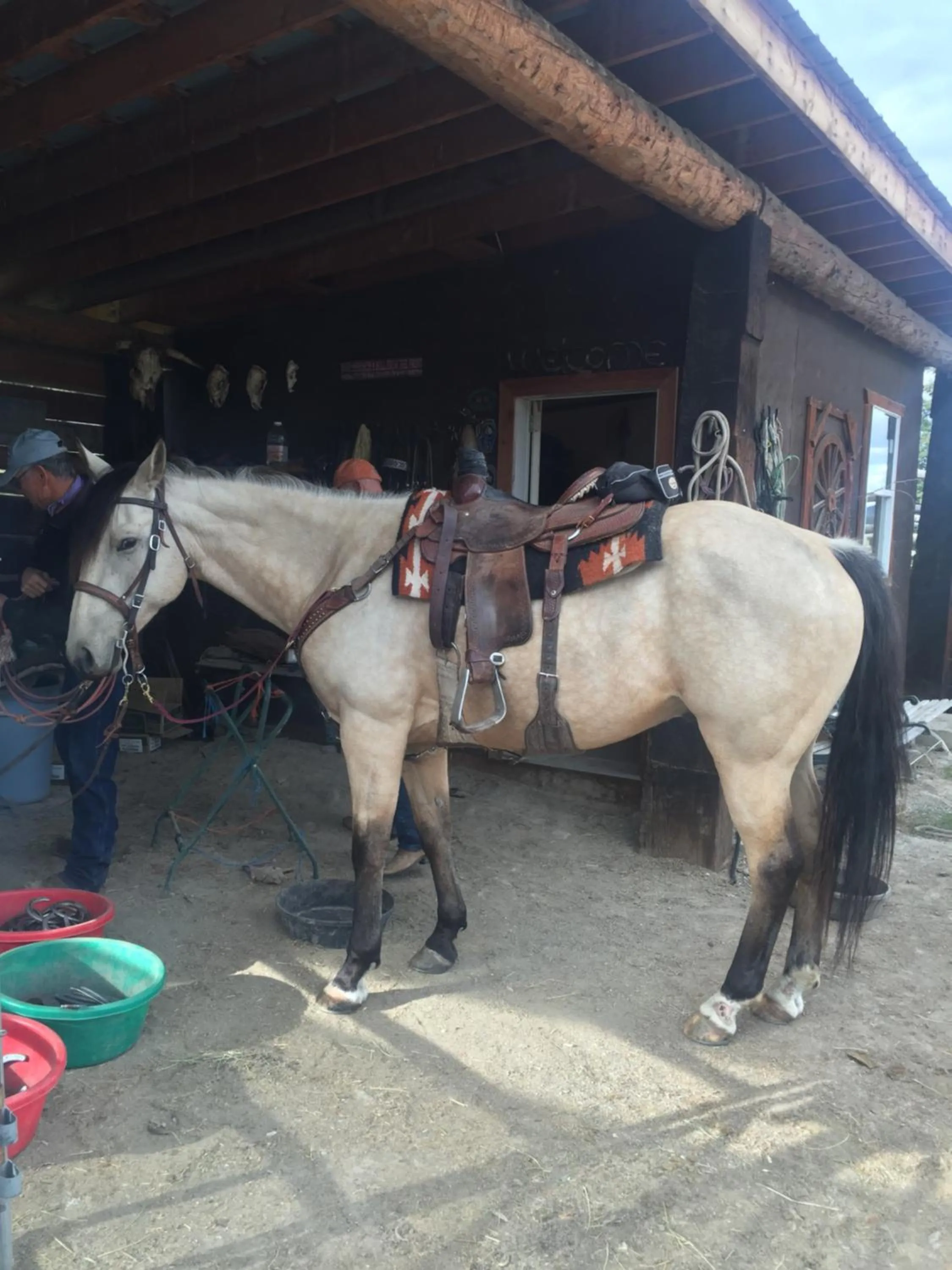 Horse-riding in Montana Hill Guest Ranch