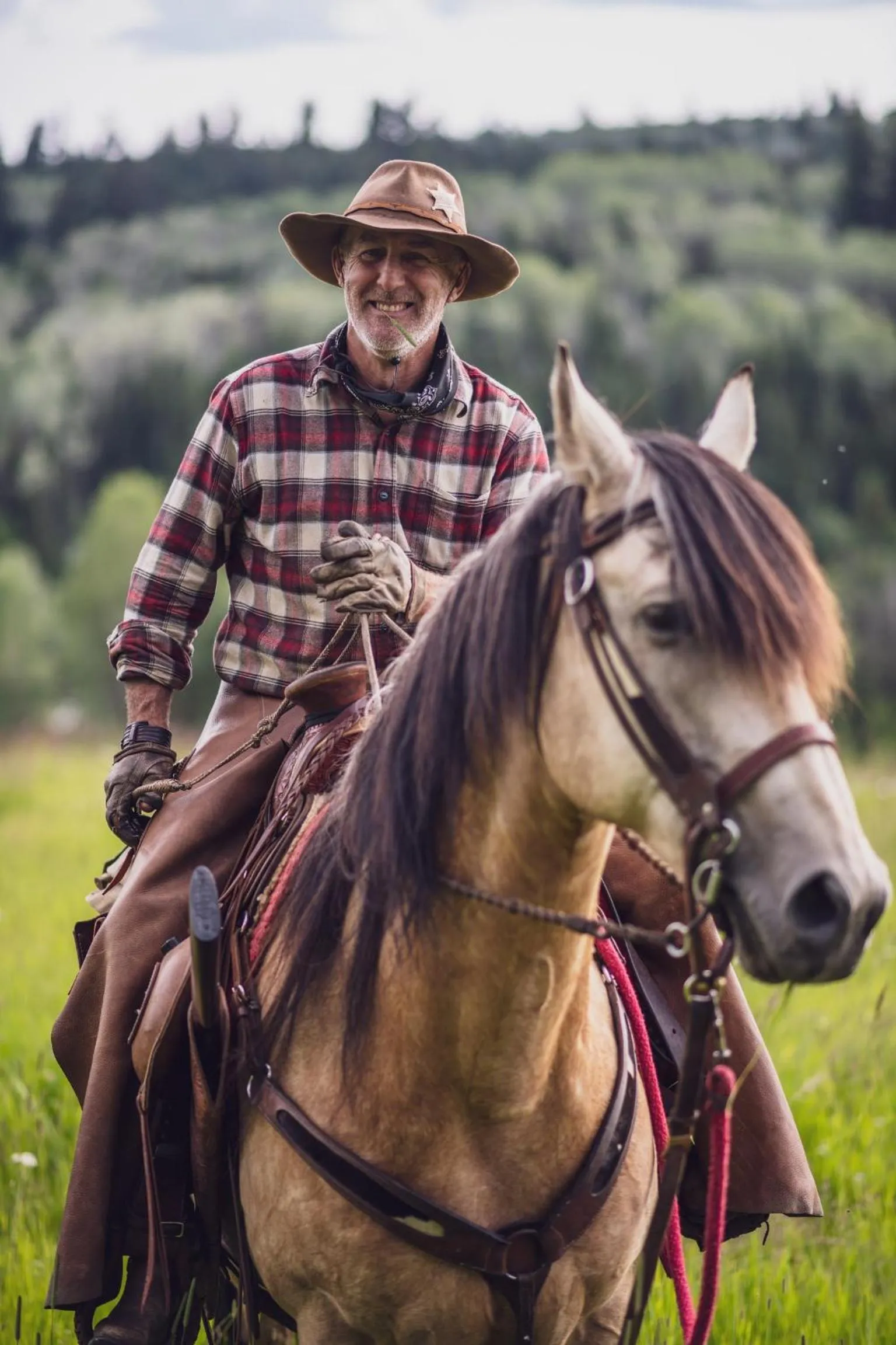 Montana Hill Guest Ranch