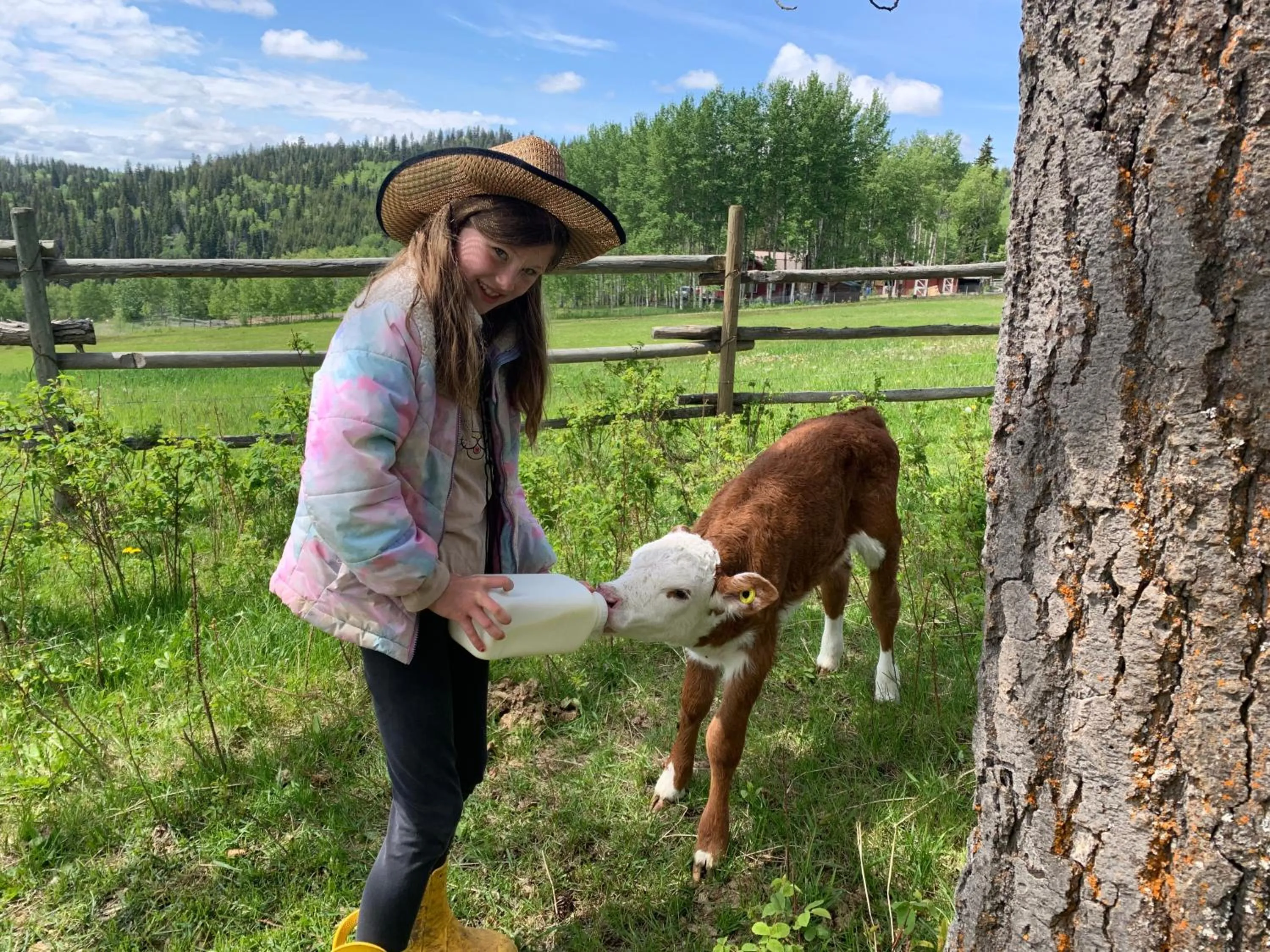 Montana Hill Guest Ranch