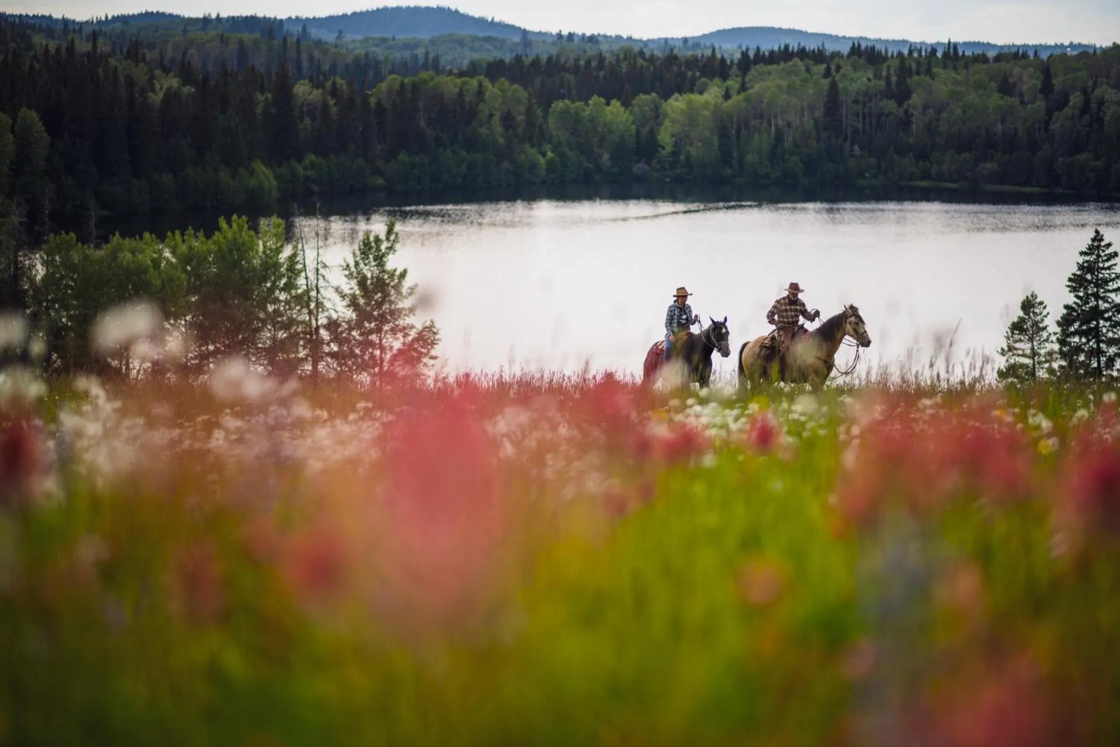 Montana Hill Guest Ranch