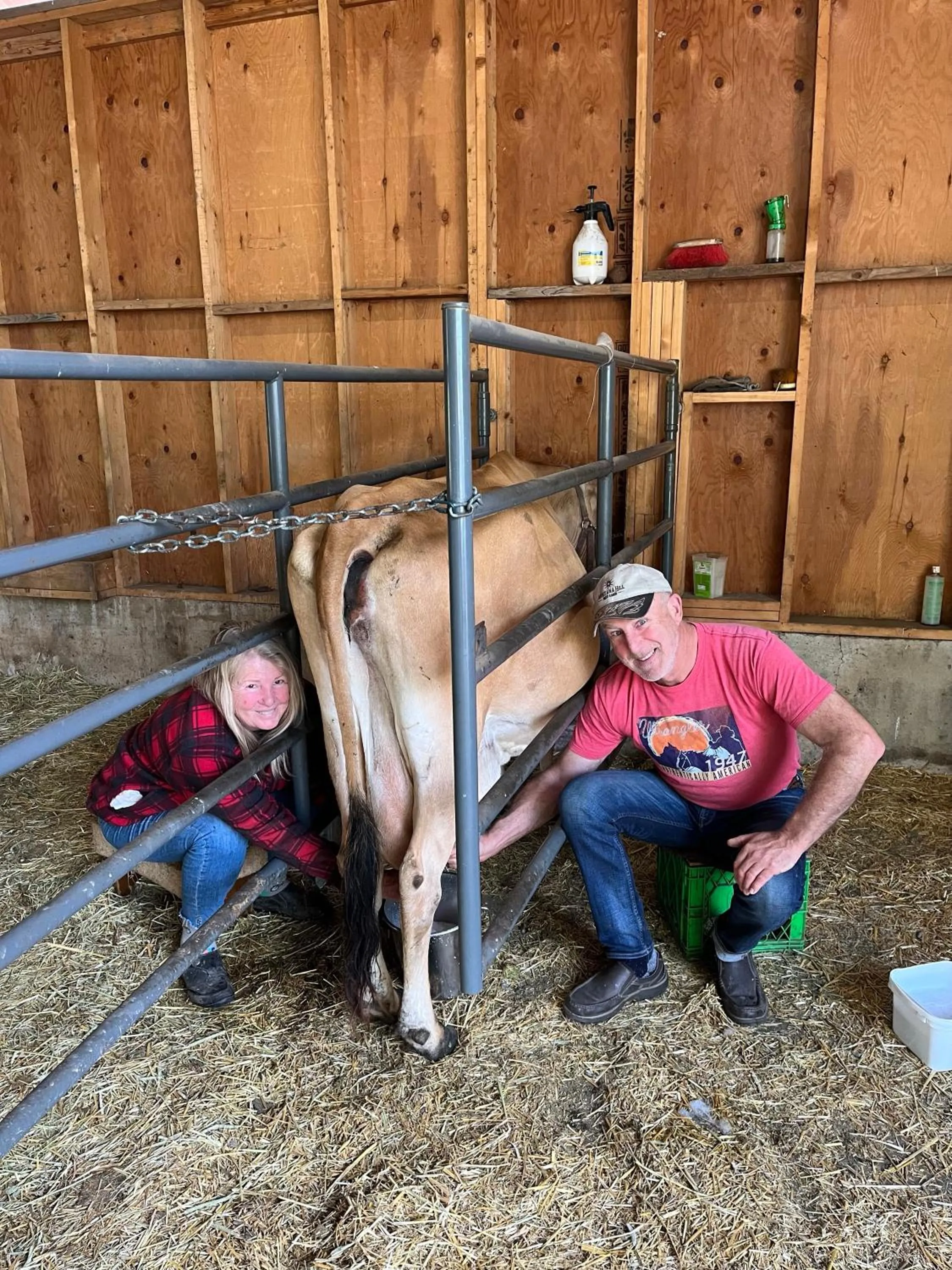 Montana Hill Guest Ranch