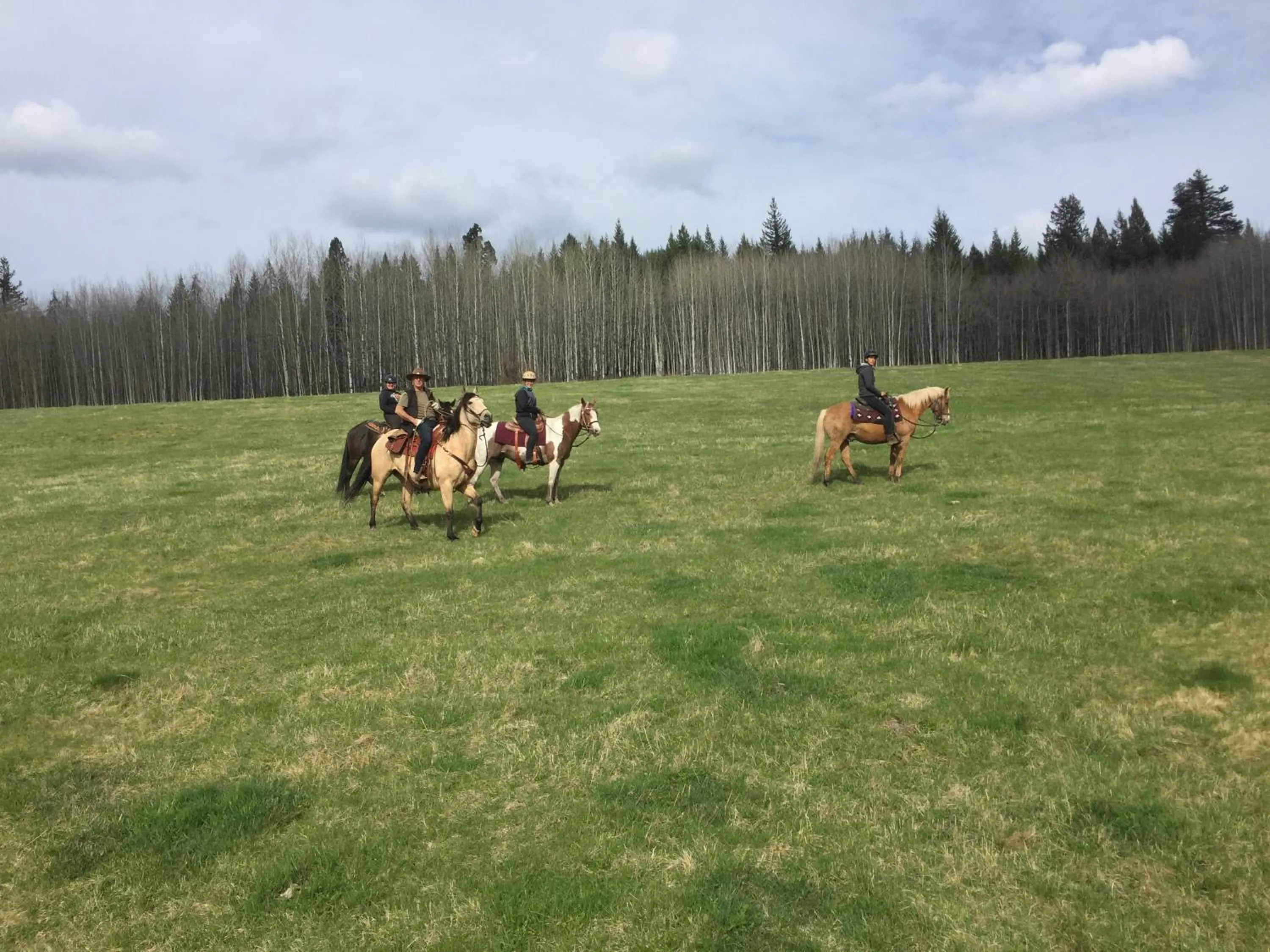 Activities in Montana Hill Guest Ranch