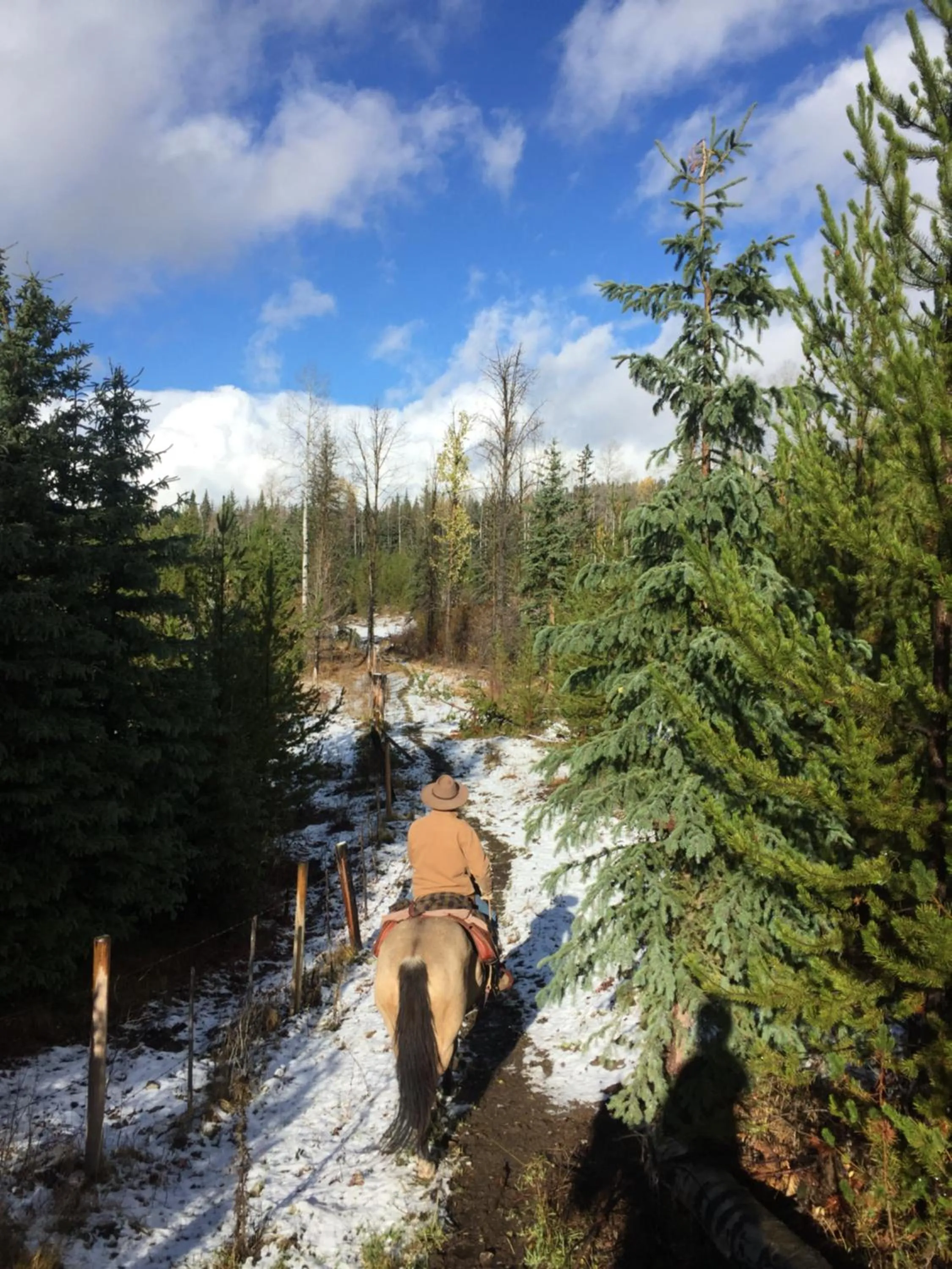 Autumn in Montana Hill Guest Ranch
