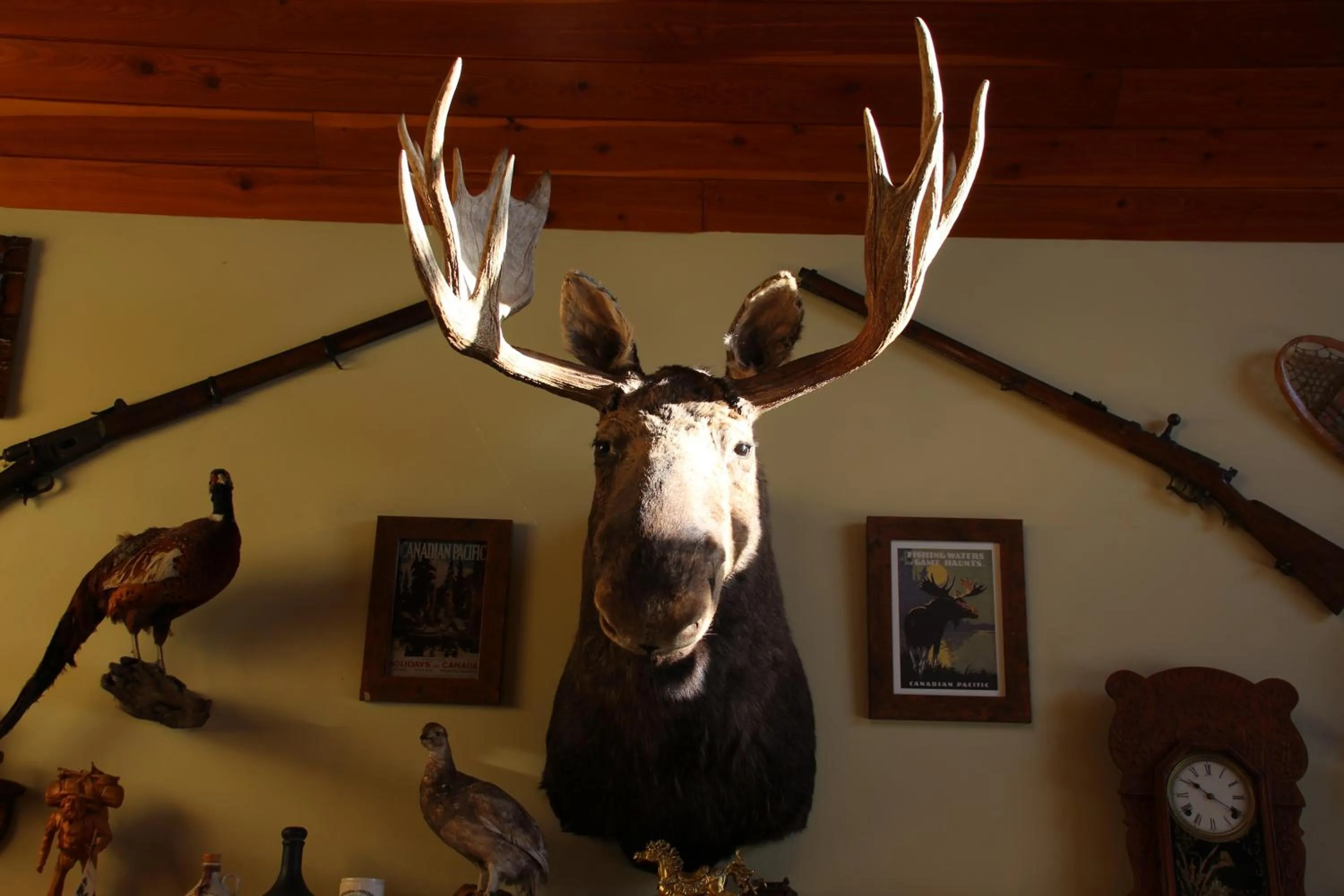 Communal lounge/ TV room in Montana Hill Guest Ranch