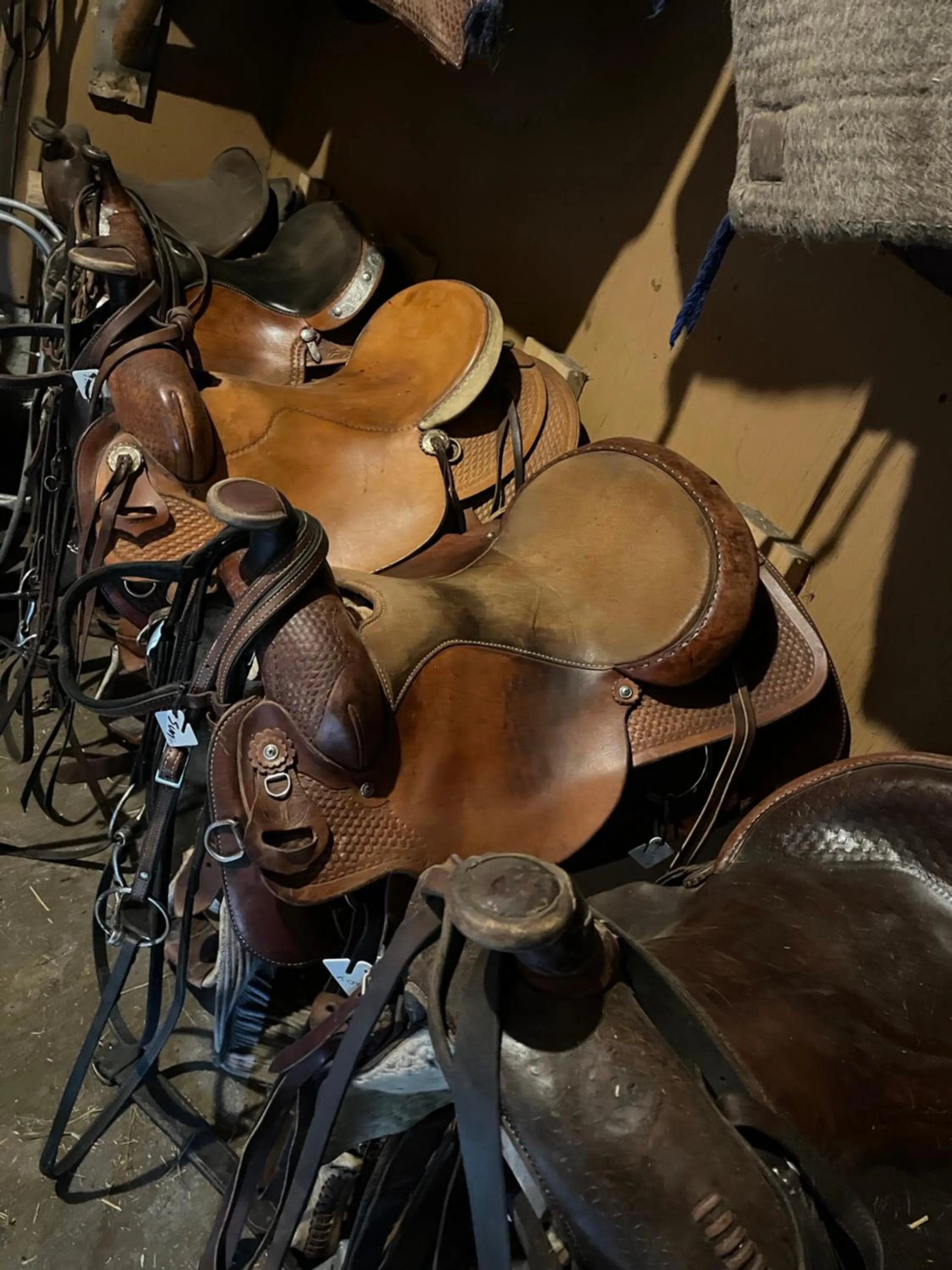 Montana Hill Guest Ranch