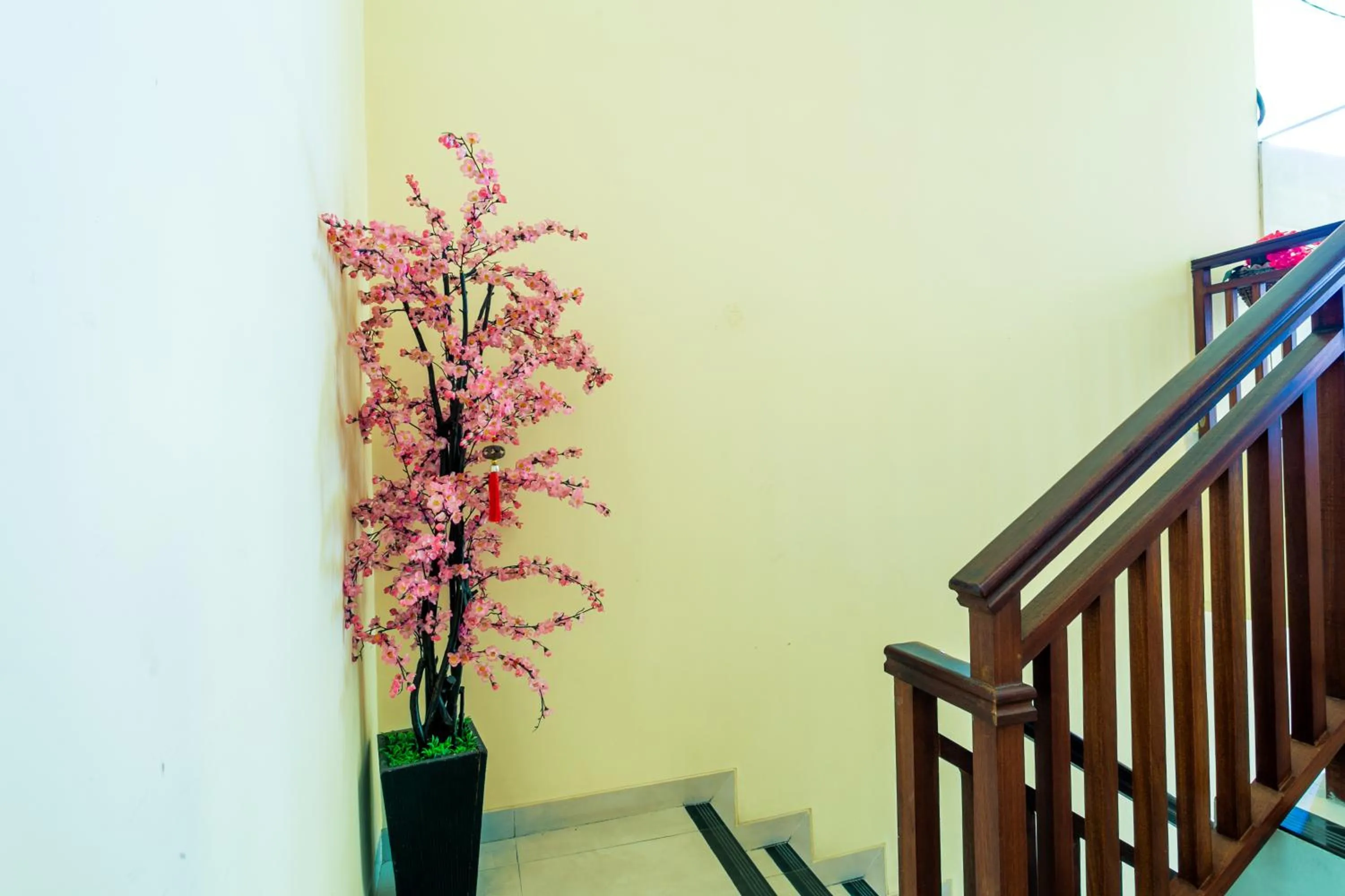 Other in Sakura Guest House