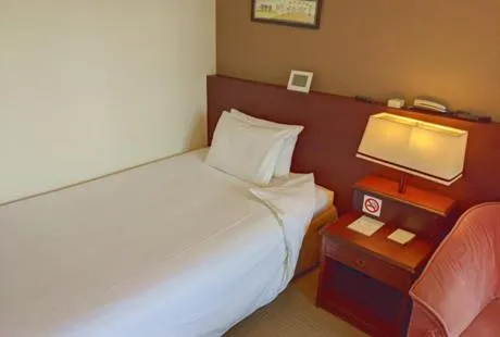 Double Room in City Pension Zem