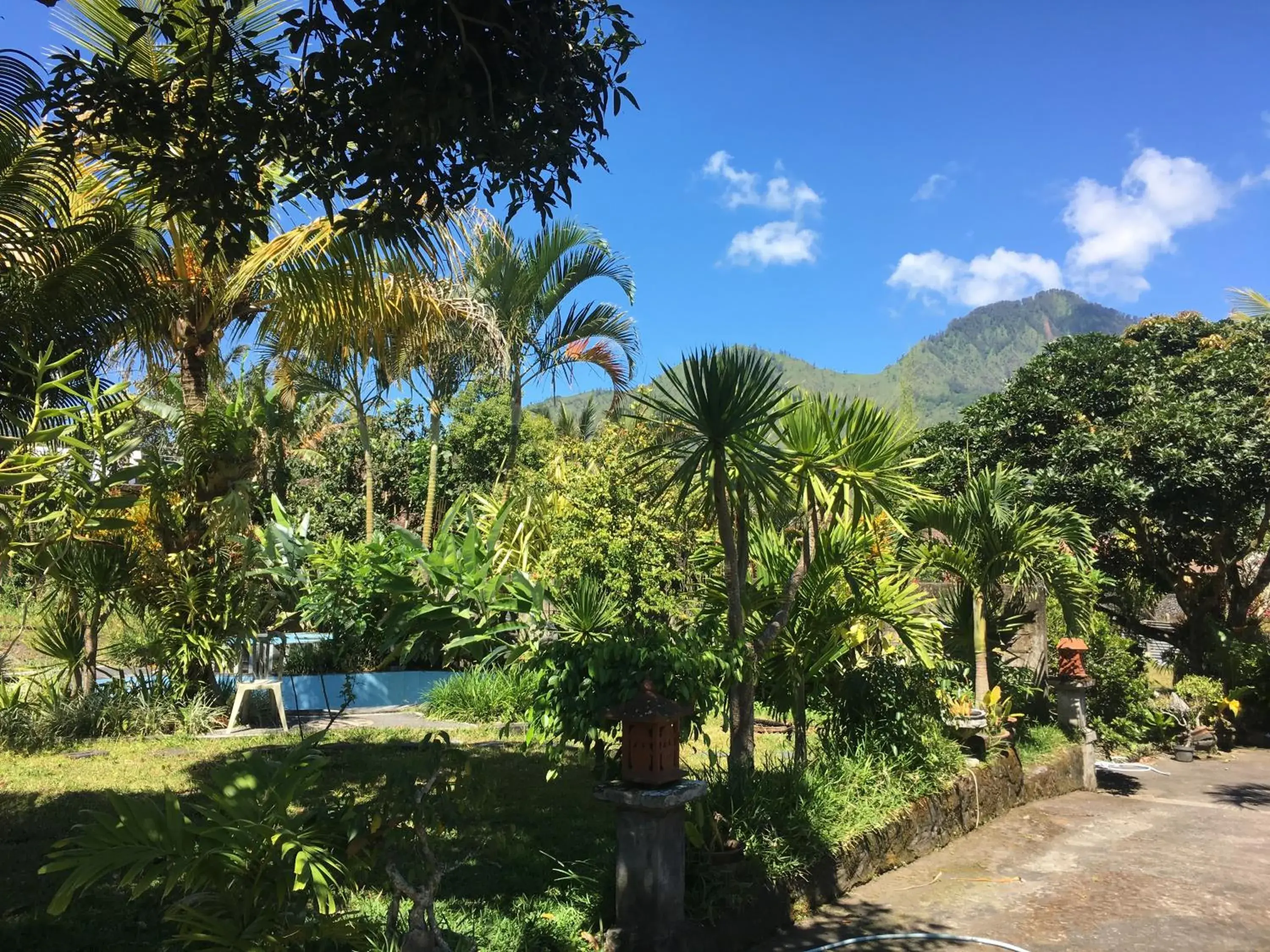 View (from property/room) in Darma Putra Hotel View (from property/room) in Darma Putra Hotel