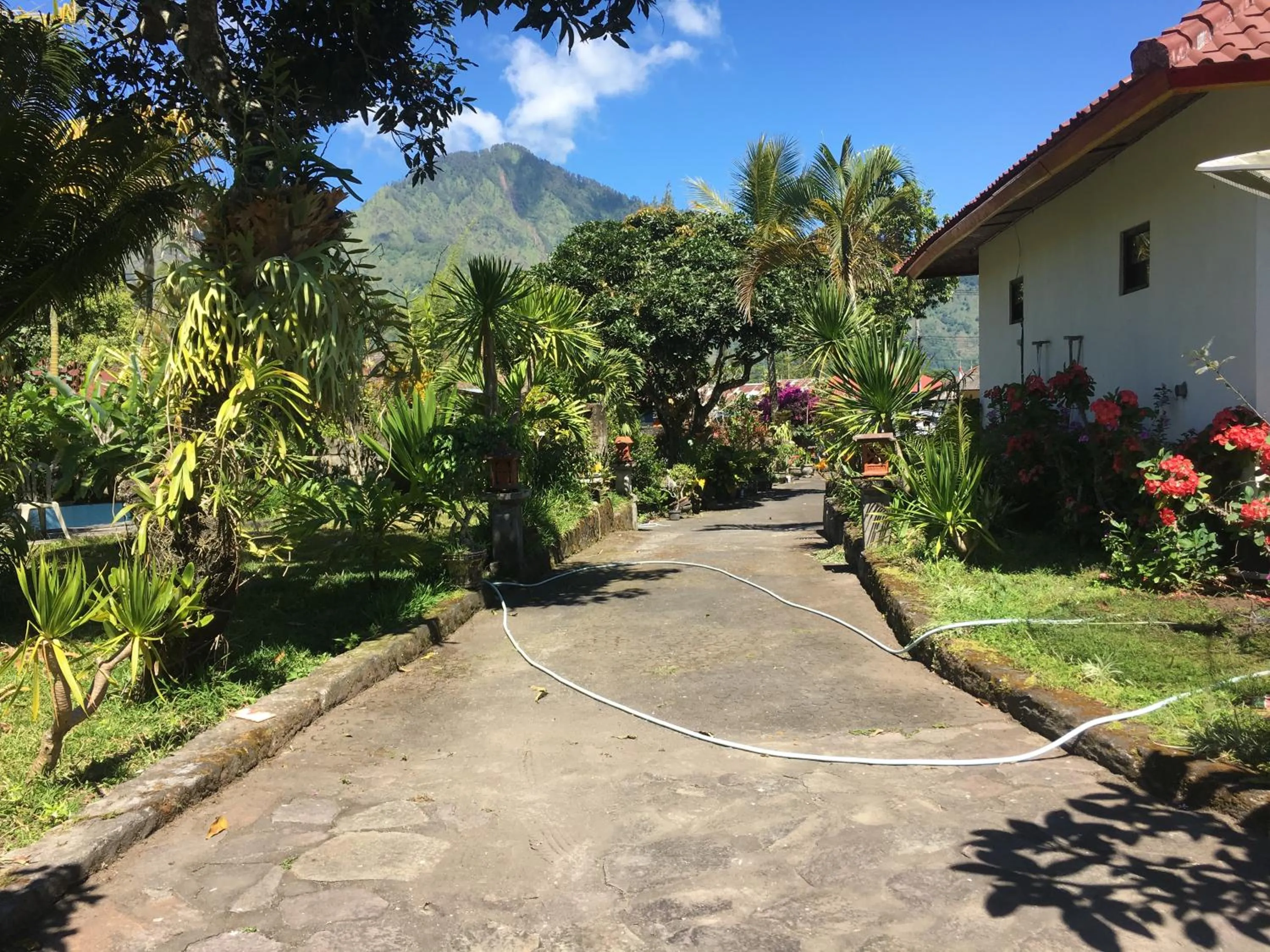 View (from property/room) in Darma Putra Hotel