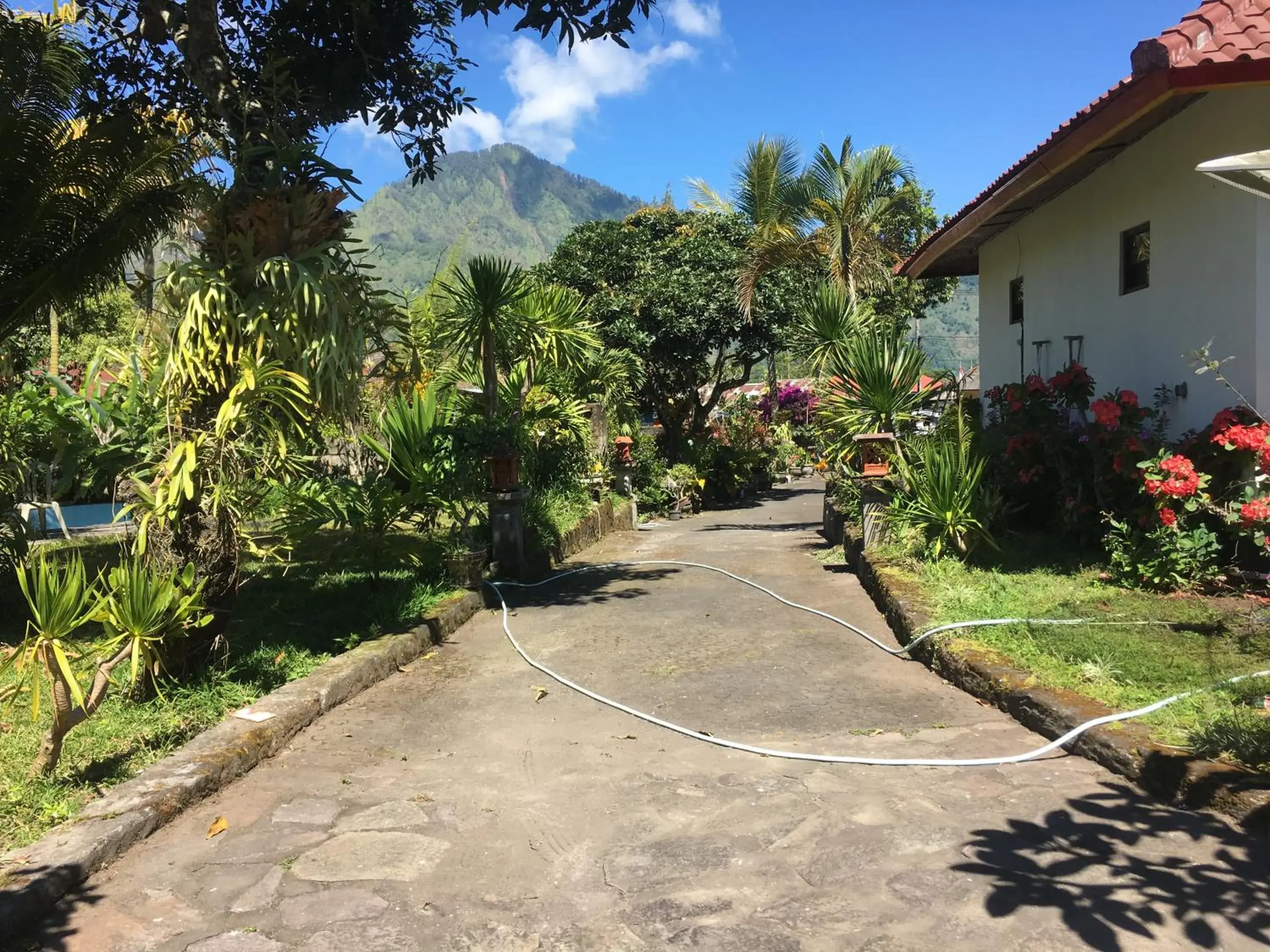 View (from property/room) in Darma Putra Hotel View (from property/room) in Darma Putra Hotel