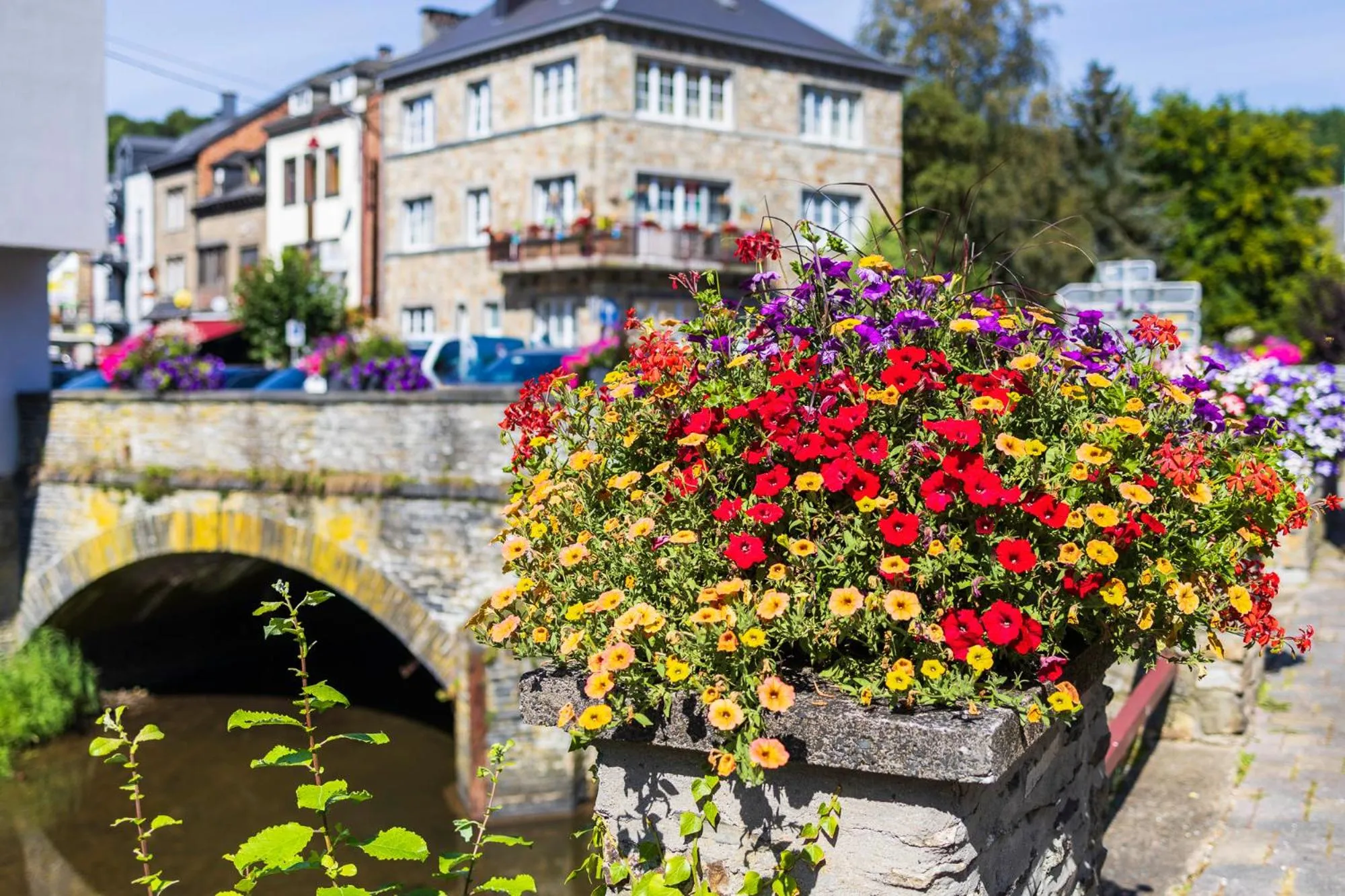 Area and facilities in Hotel du Commerce