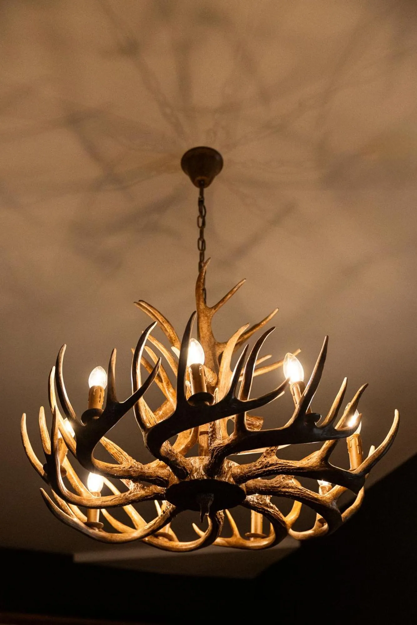 Facade/entrance in Hotel du Commerce