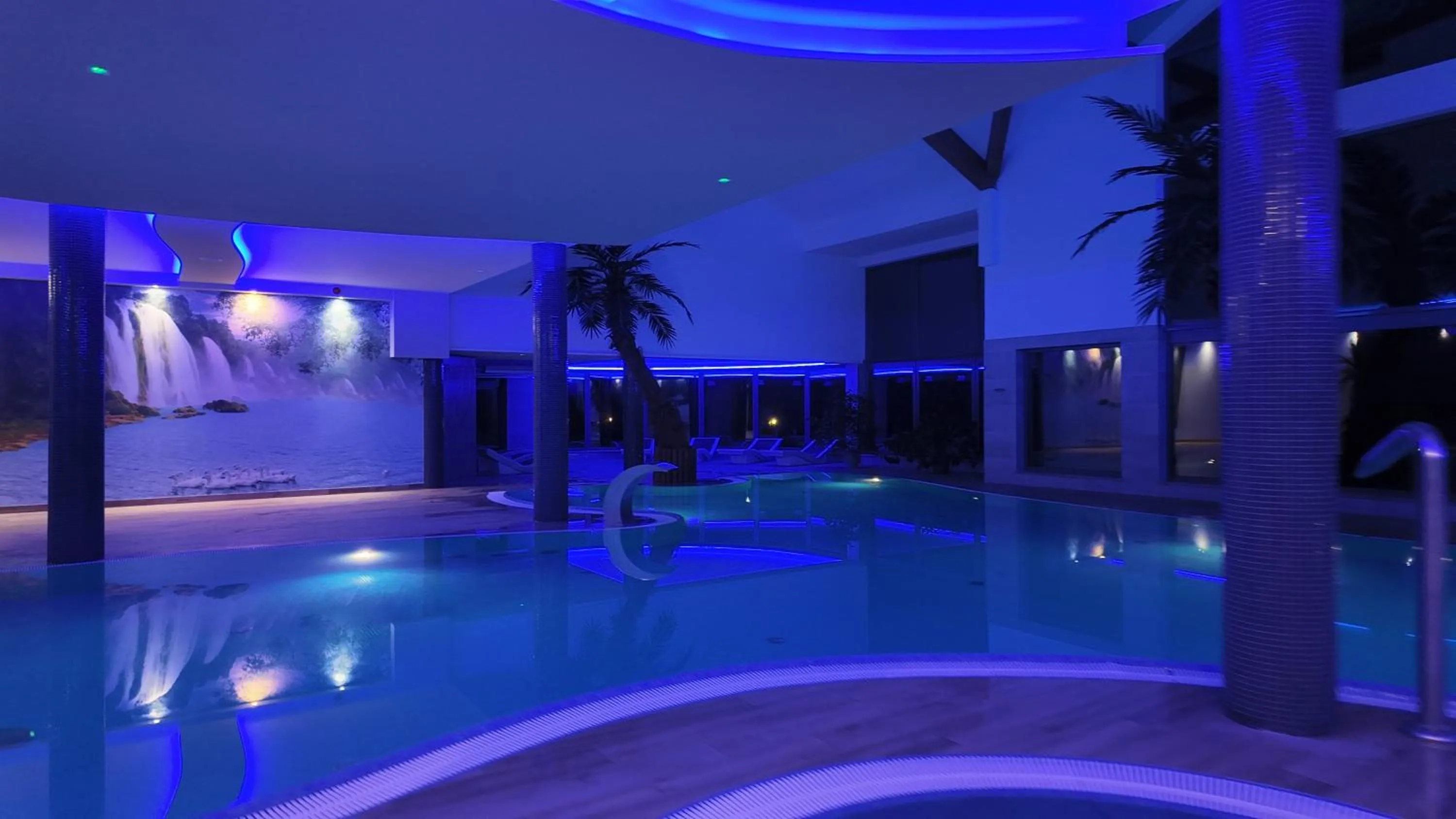 Swimming pool in Hotel Oskar Business & Spa