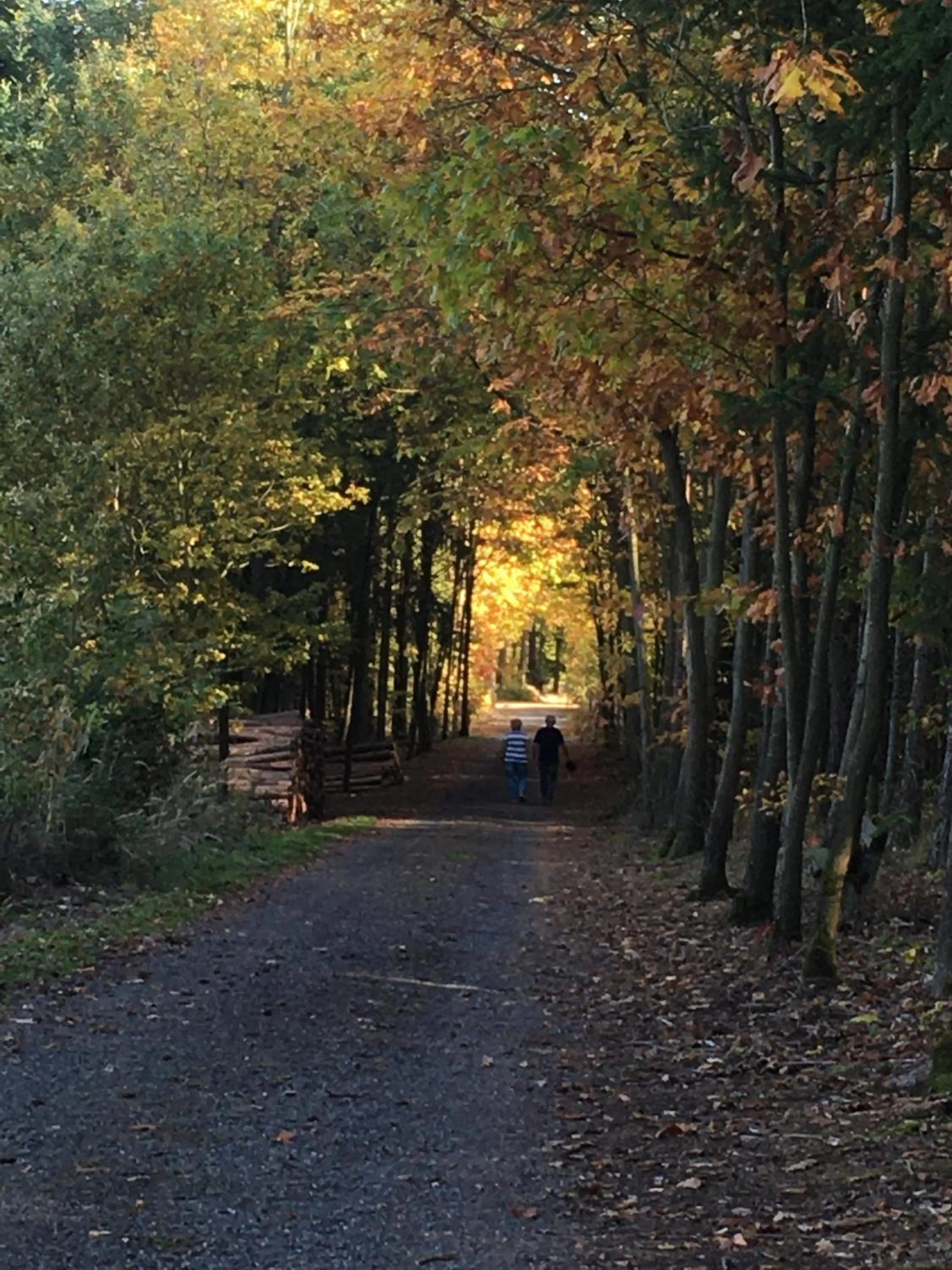Natural landscape in Restaurace Staré Sedlo
