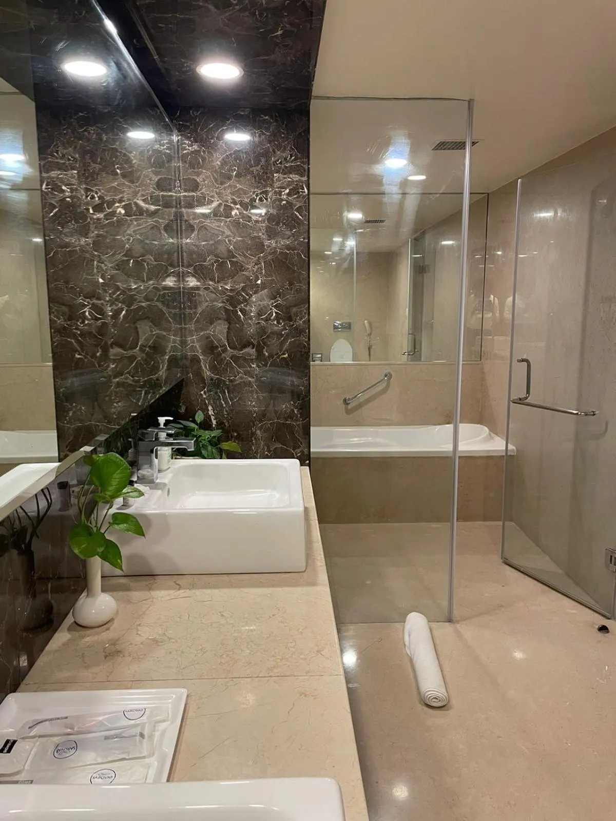 Paradigm Sarovar Portico