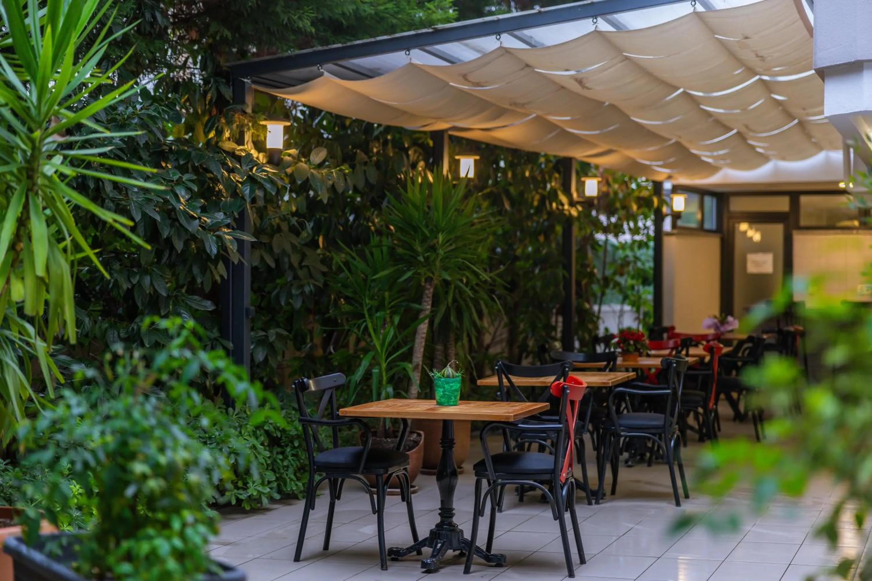 Patio in Palmada Hotel