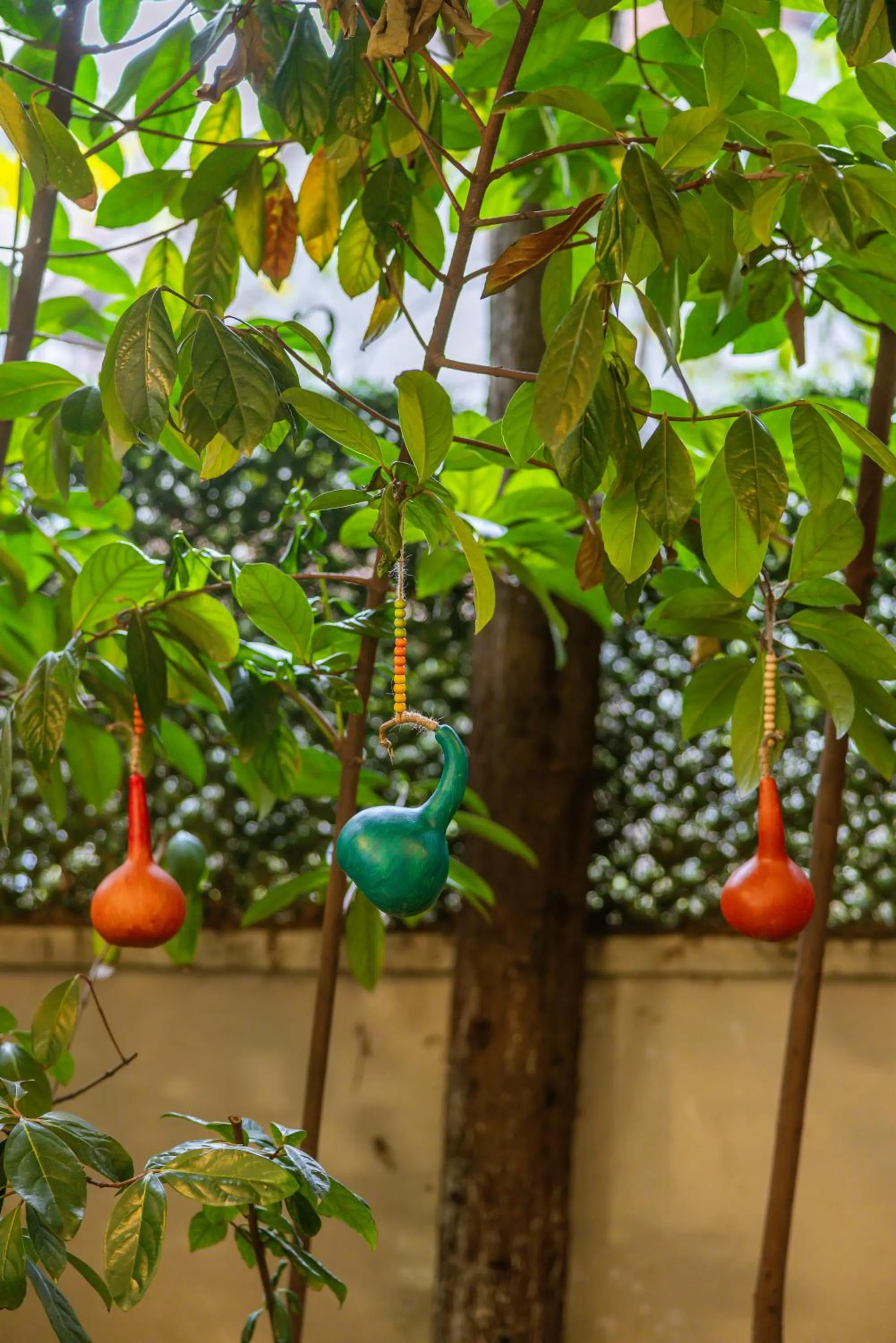 Natural landscape in Palmada Hotel