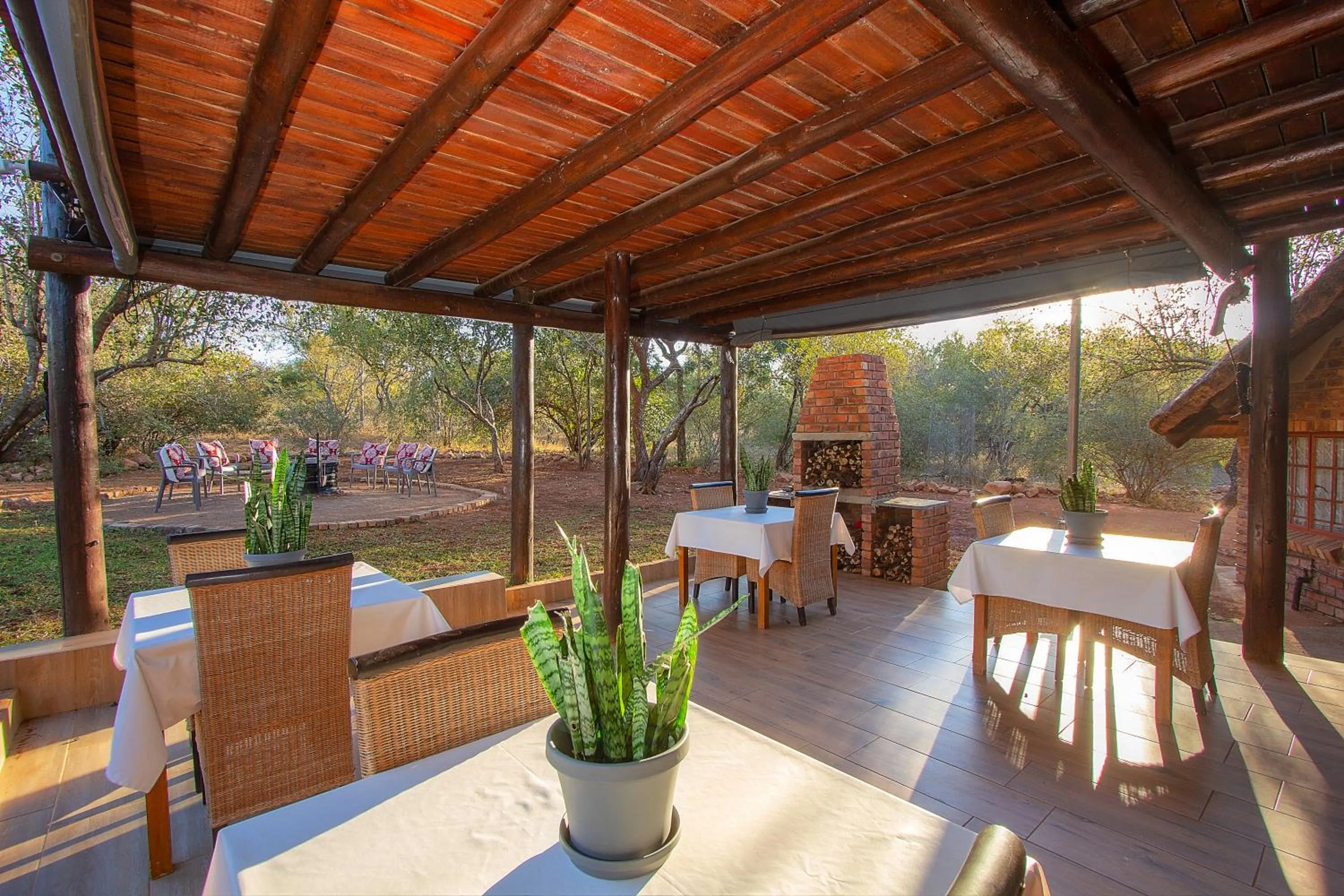 Garden in Imbube Safari Lodge