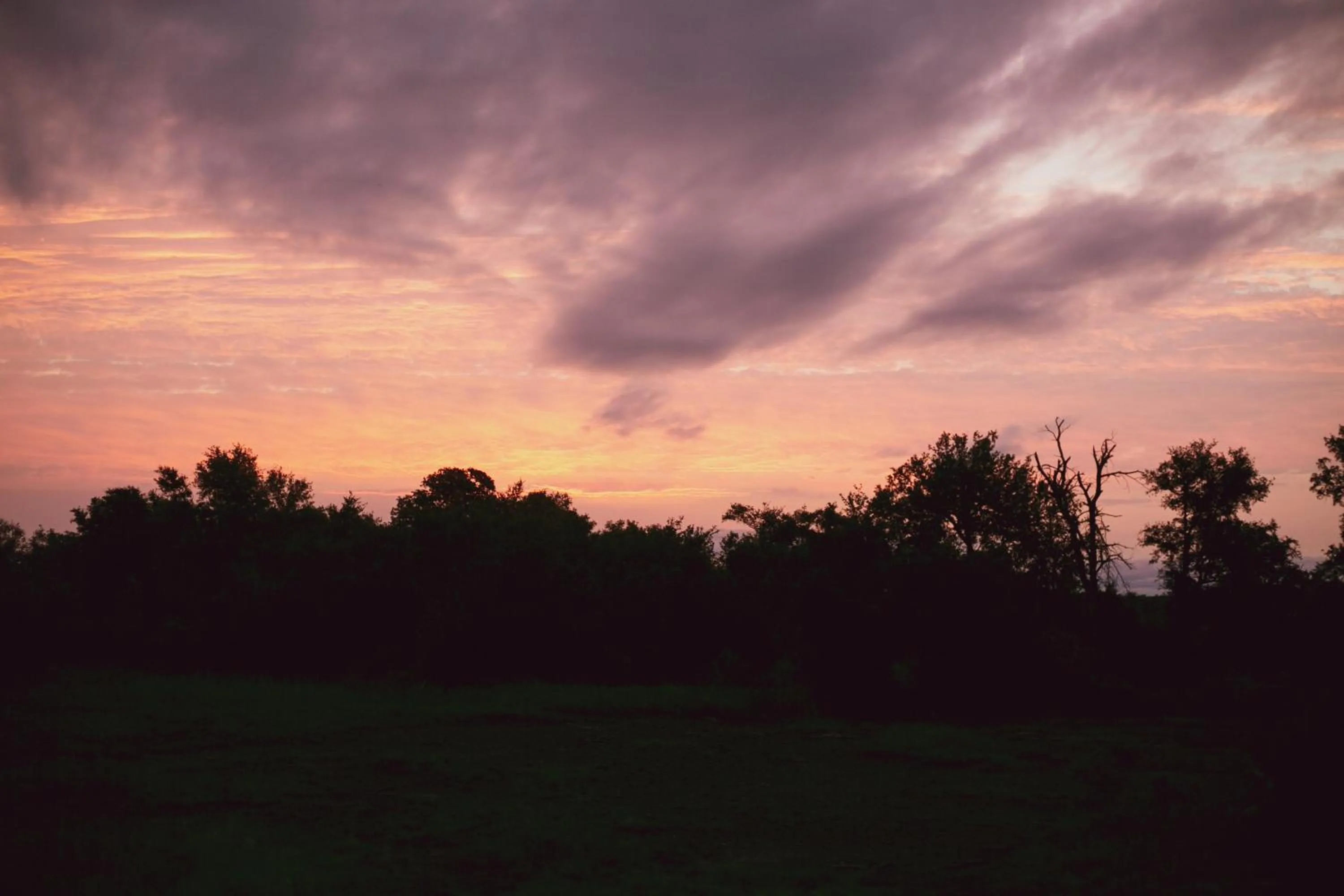 Natural landscape in Imbube Safari Lodge