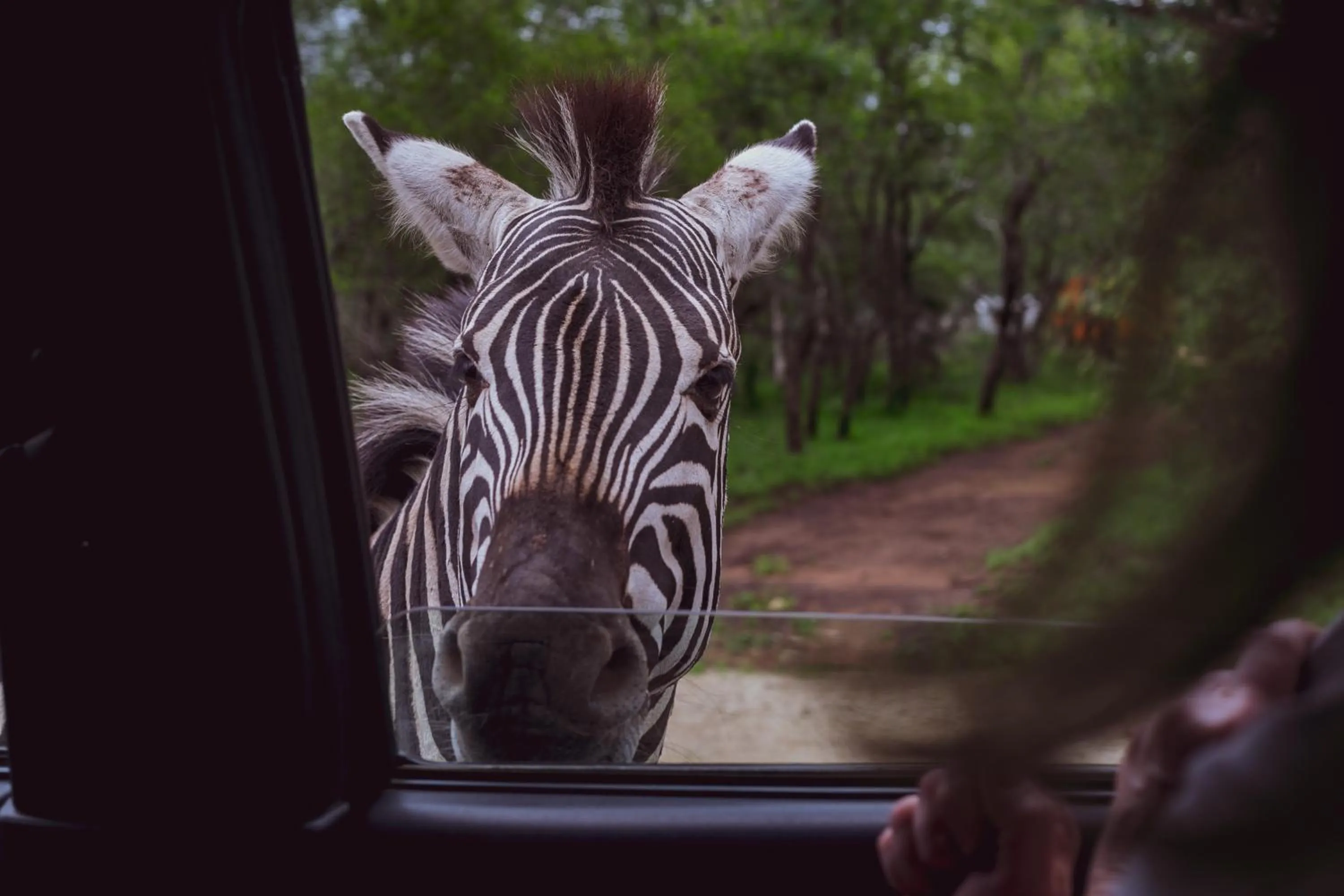 Activities in Imbube Safari Lodge