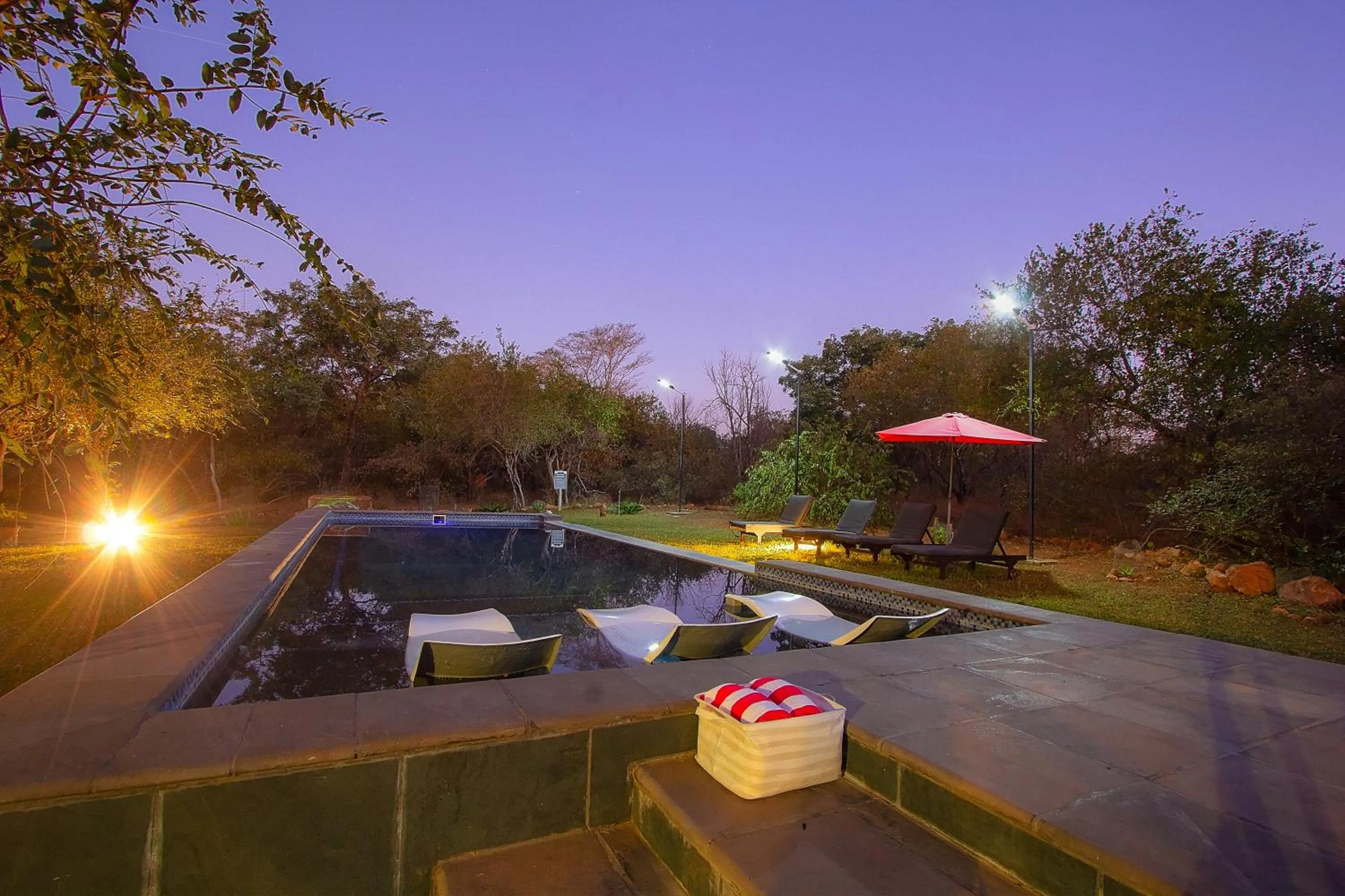 Garden in Imbube Safari Lodge