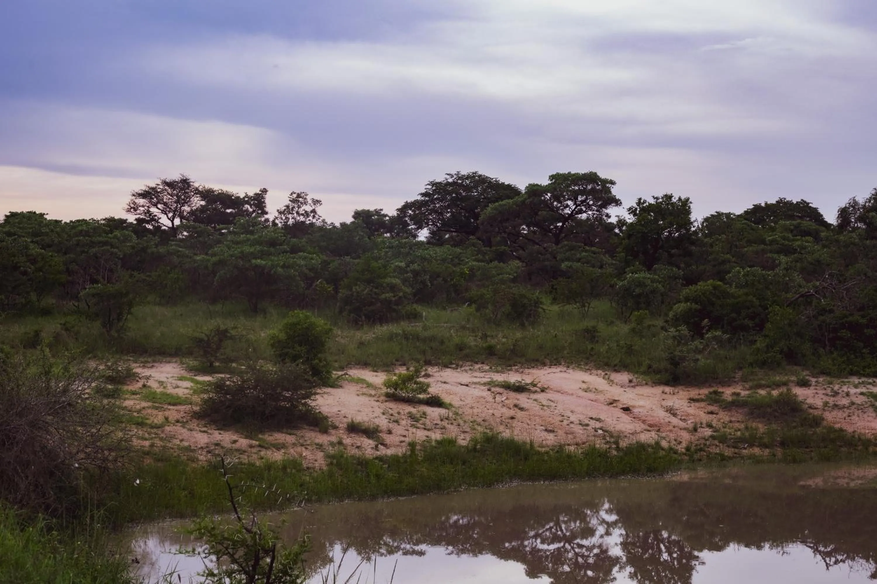 Natural landscape in Imbube Safari Lodge