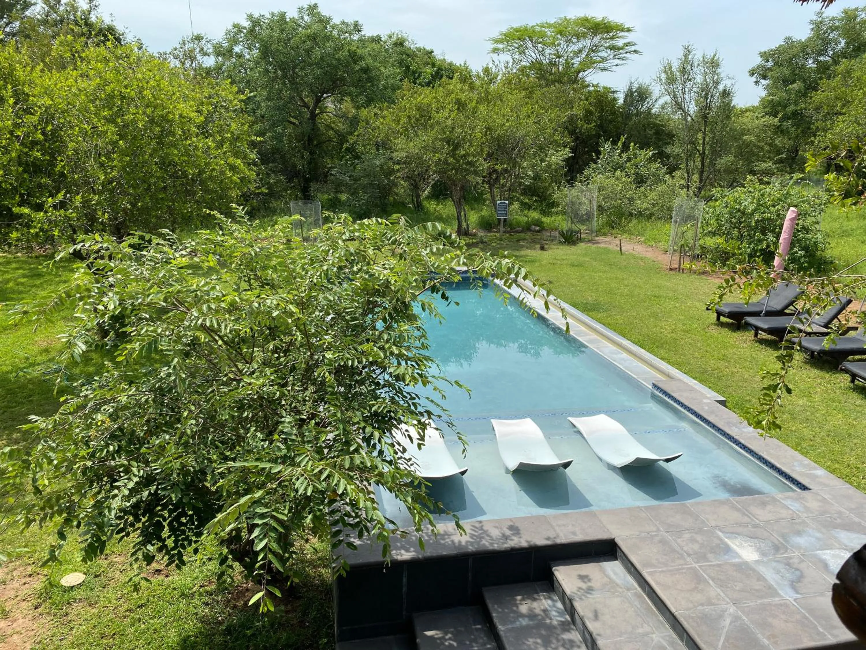 Garden view in Imbube Safari Lodge