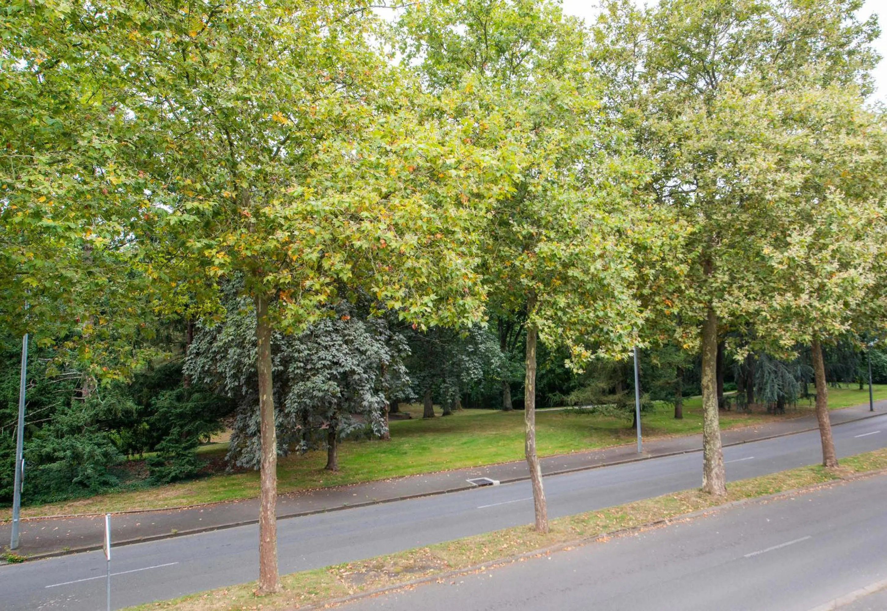 View (from property/room) in B&B HOTEL Cholet Sud