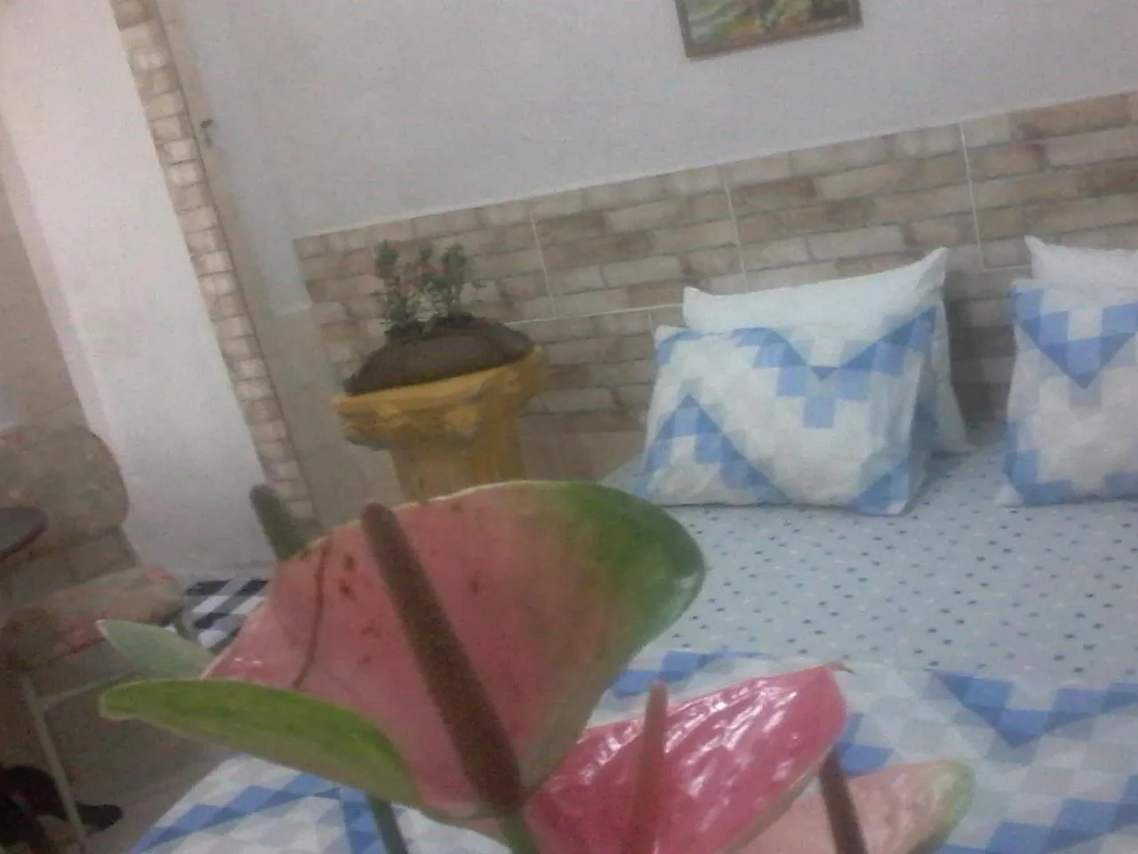 Meu Quarto no Rio de Janeiro