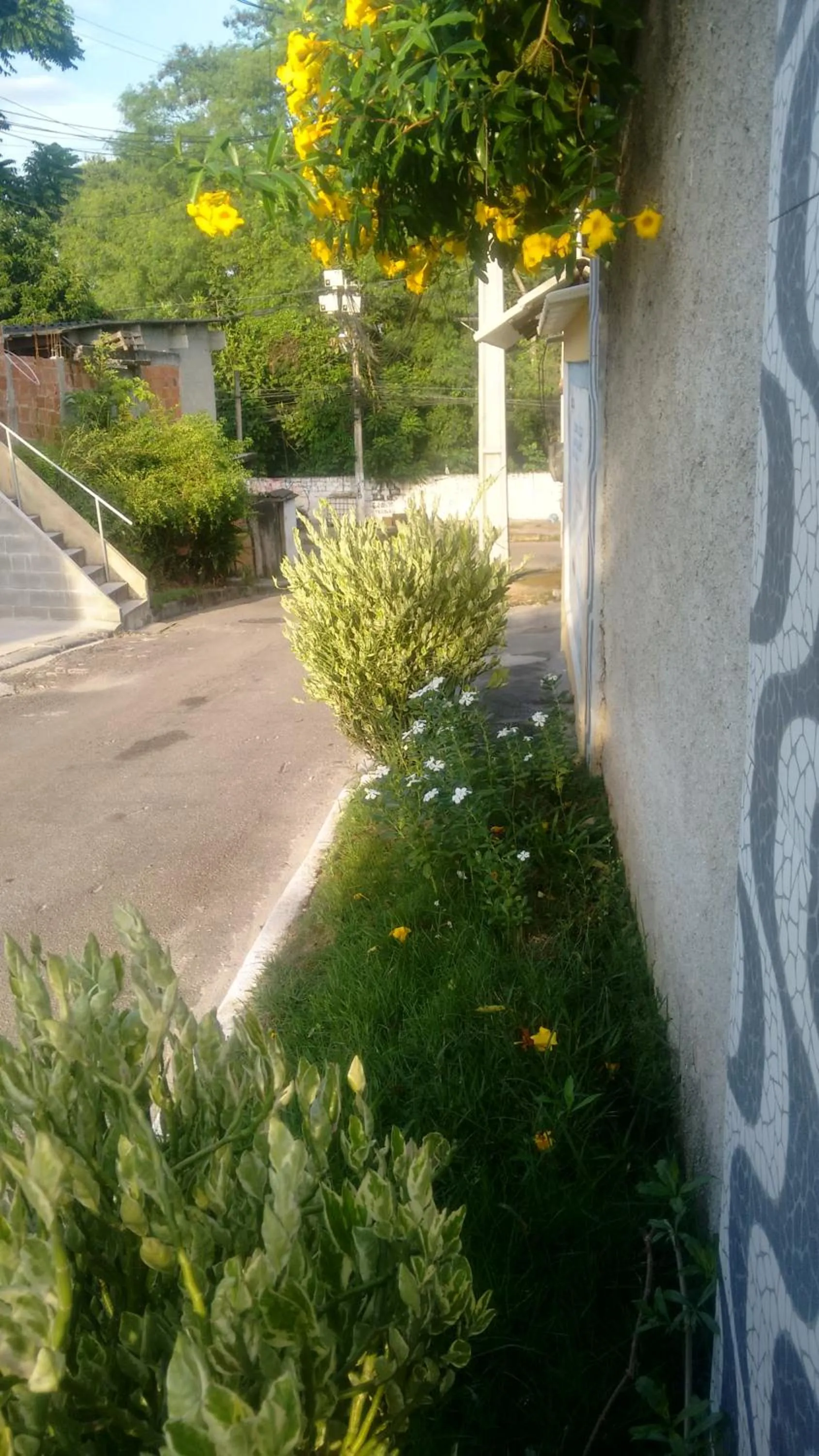 Meu Quarto no Rio de Janeiro