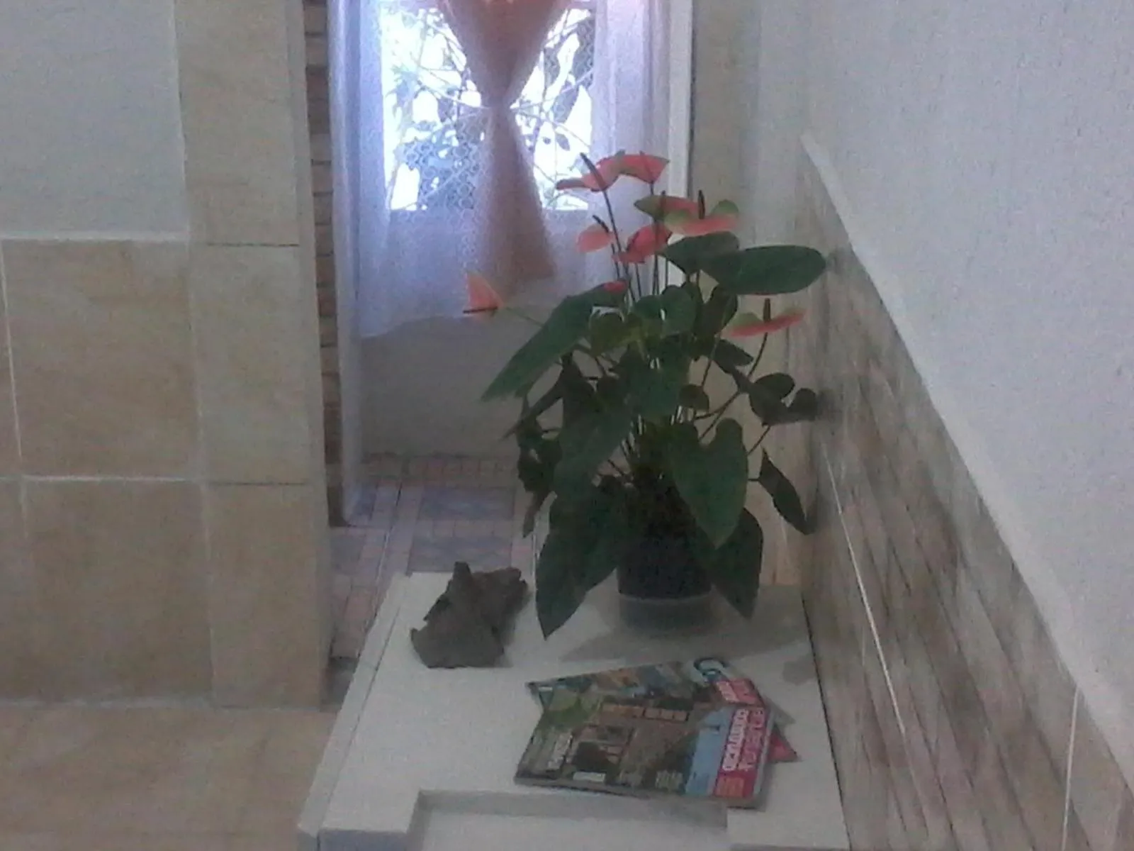 Meu Quarto no Rio de Janeiro