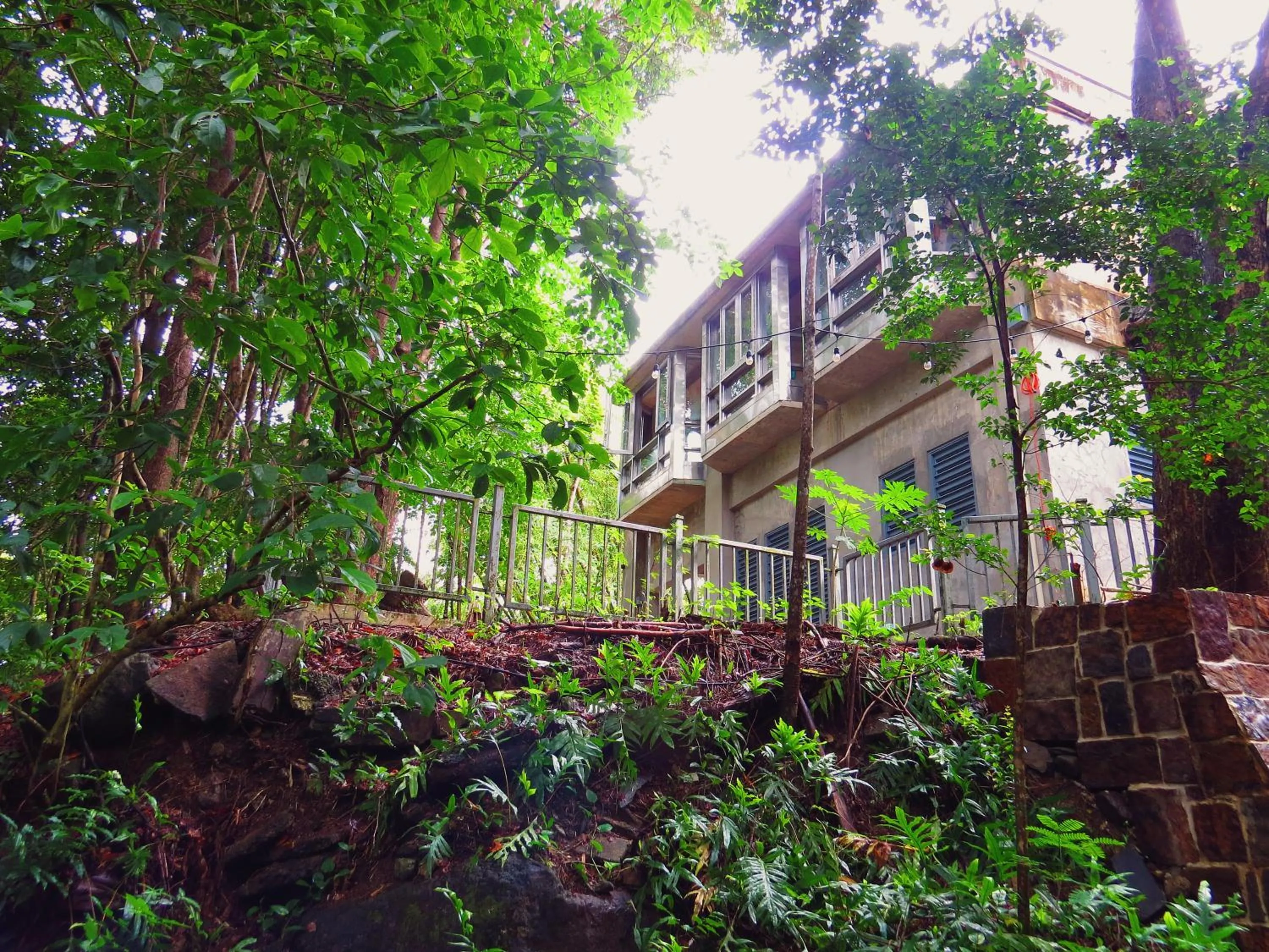 View (from property/room) in Dos Aguas