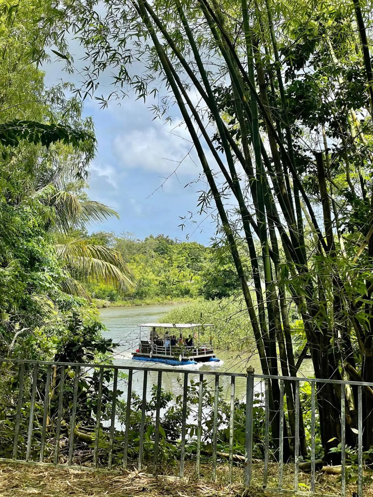 Activities in Dos Aguas