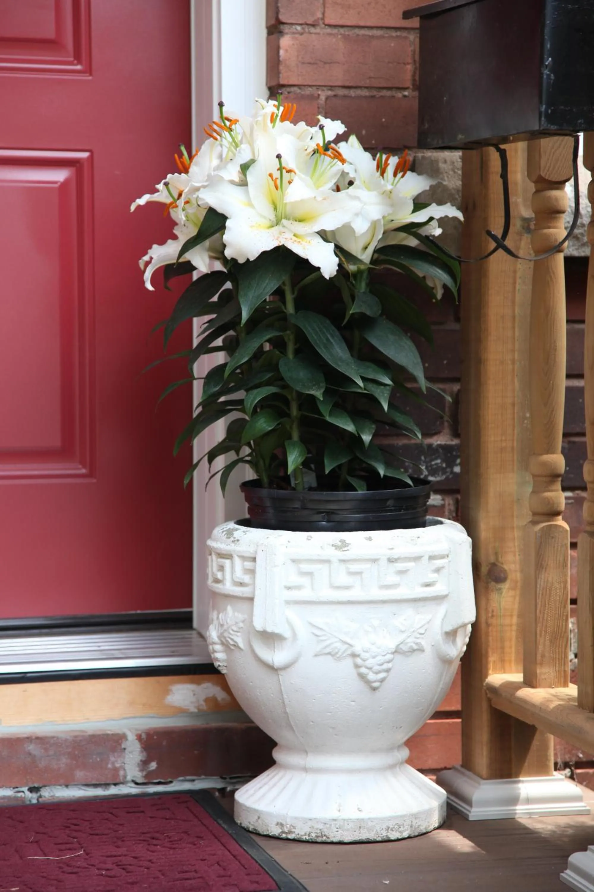 Property building in Ambiance By The Falls B&B