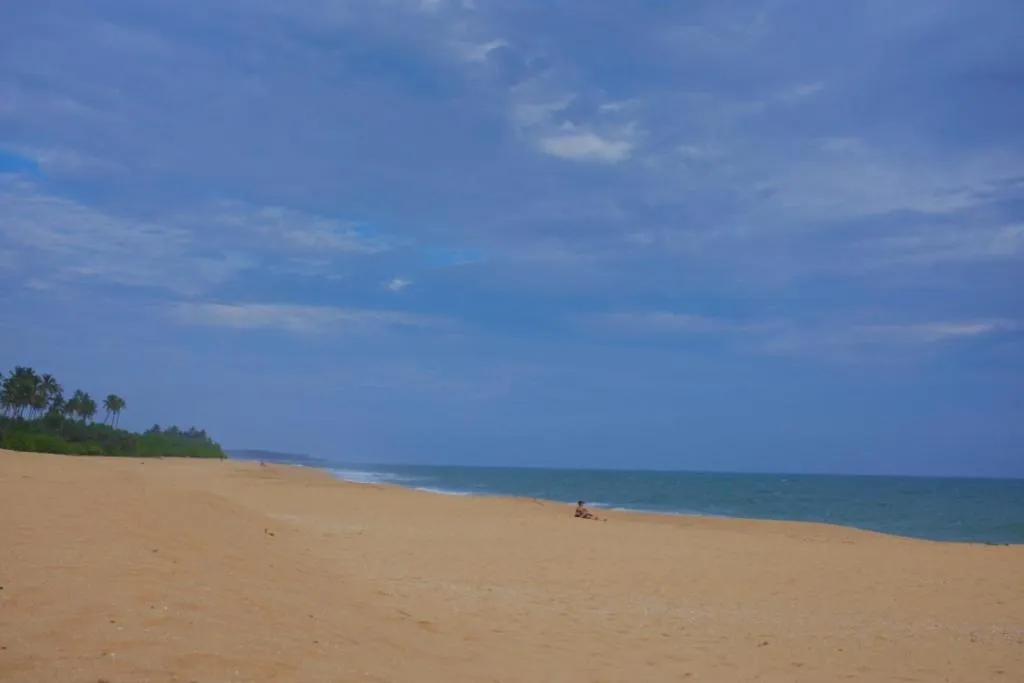 Beach in Mangrove Beach Cabana