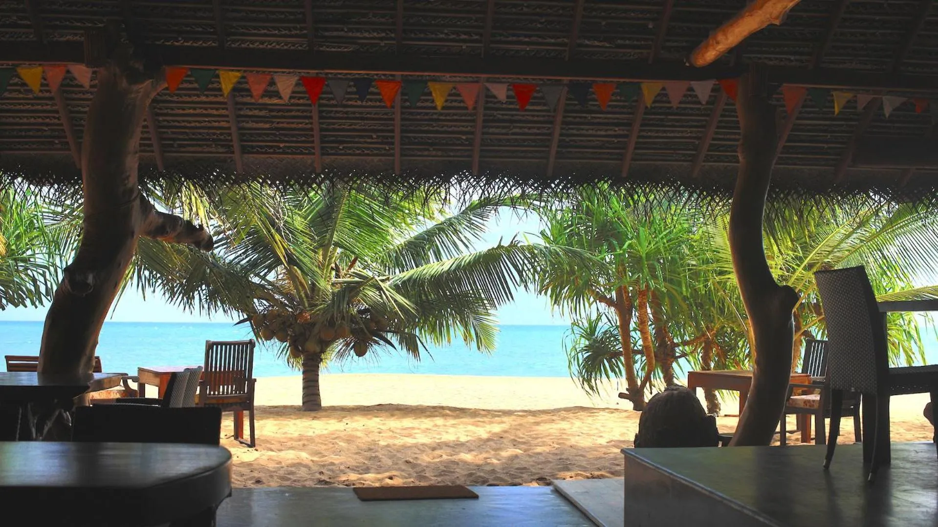 Mangrove Beach Cabana
