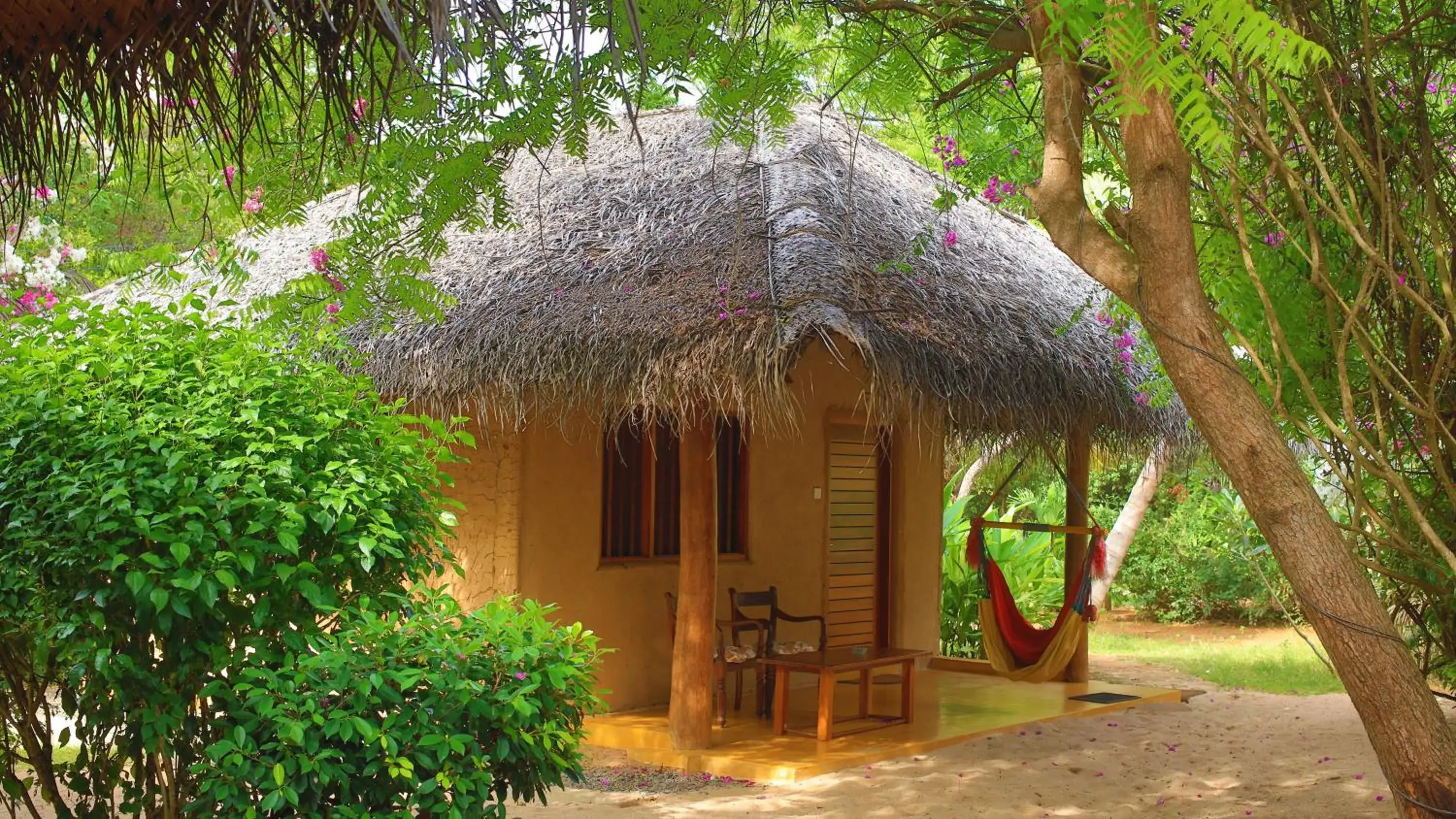 Cabana with Garden View in Mangrove Beach Cabana Cabana with Garden View in Mangrove Beach Cabana