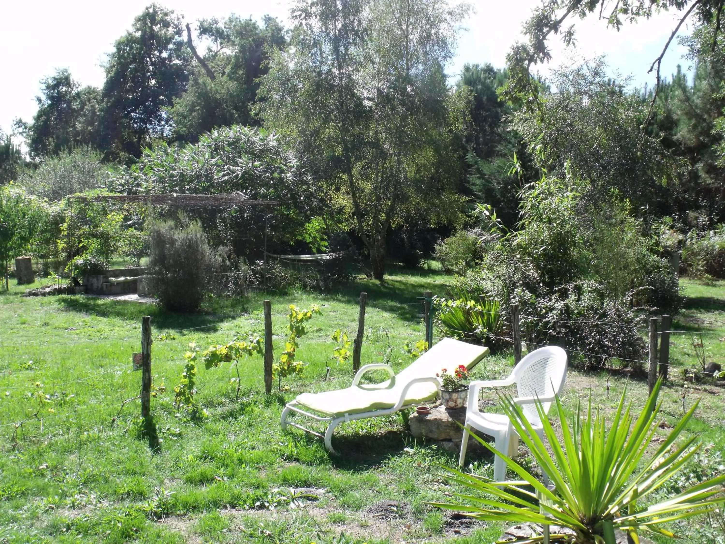 Garden in Les Hôtes Landes