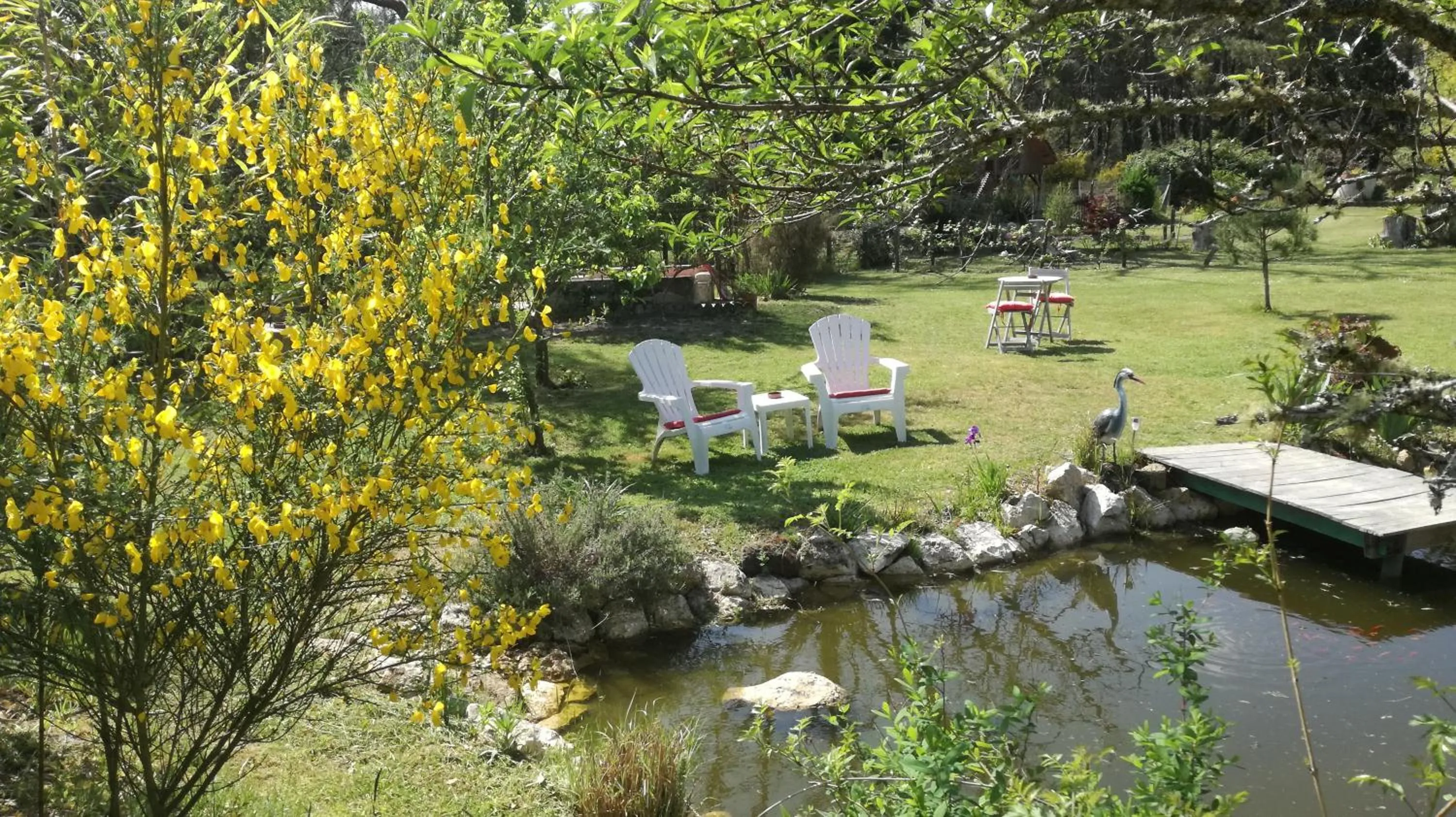 Garden in Les Hôtes Landes