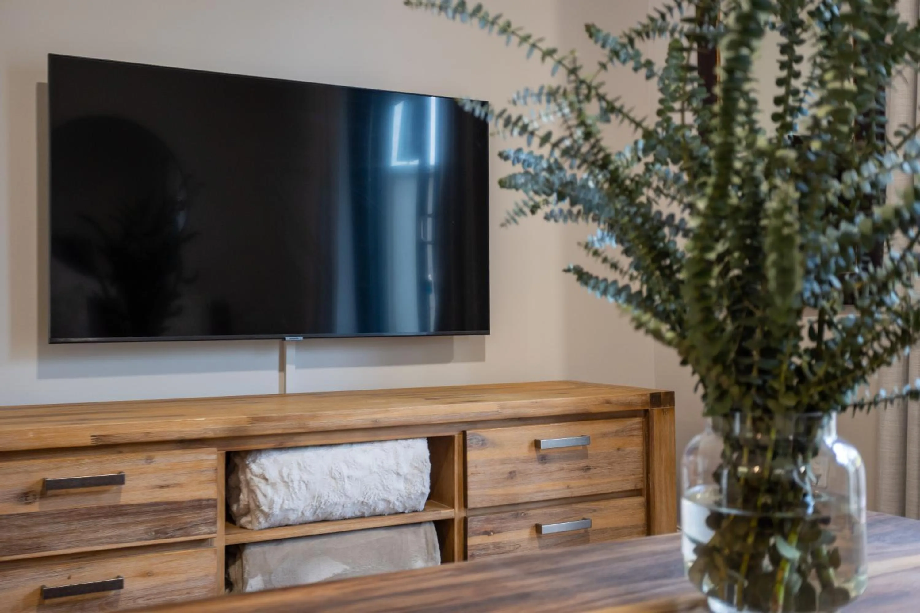 TV and multimedia in Vino Self Catering Apartment