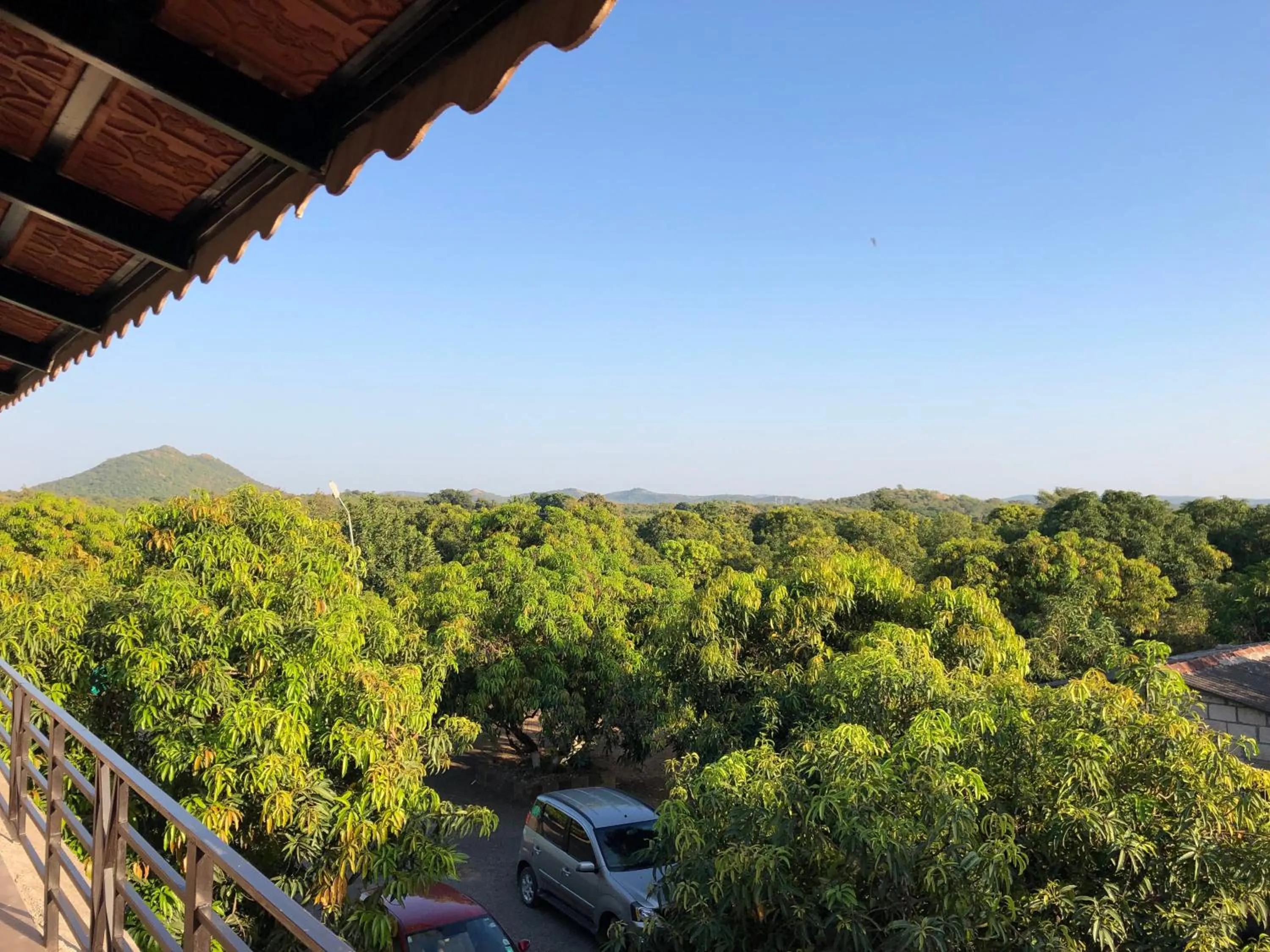 City view in Gir Lions Paw Resort with Swimming Pool