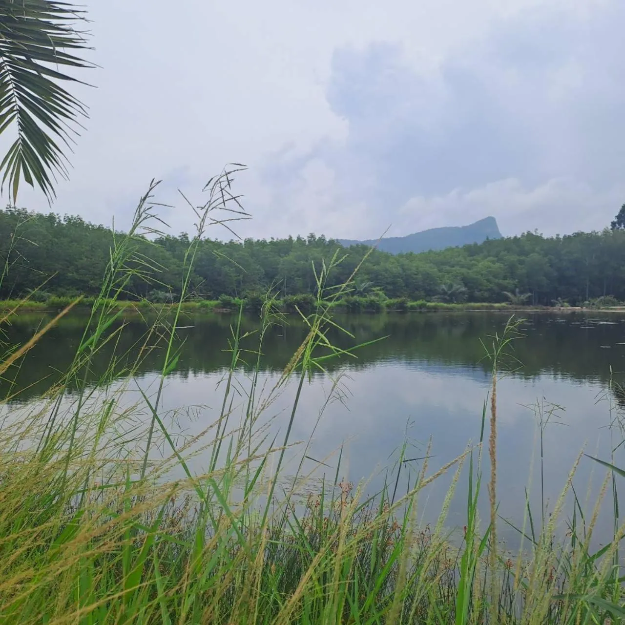 Fishing in Alisea Pool Villa Aonang