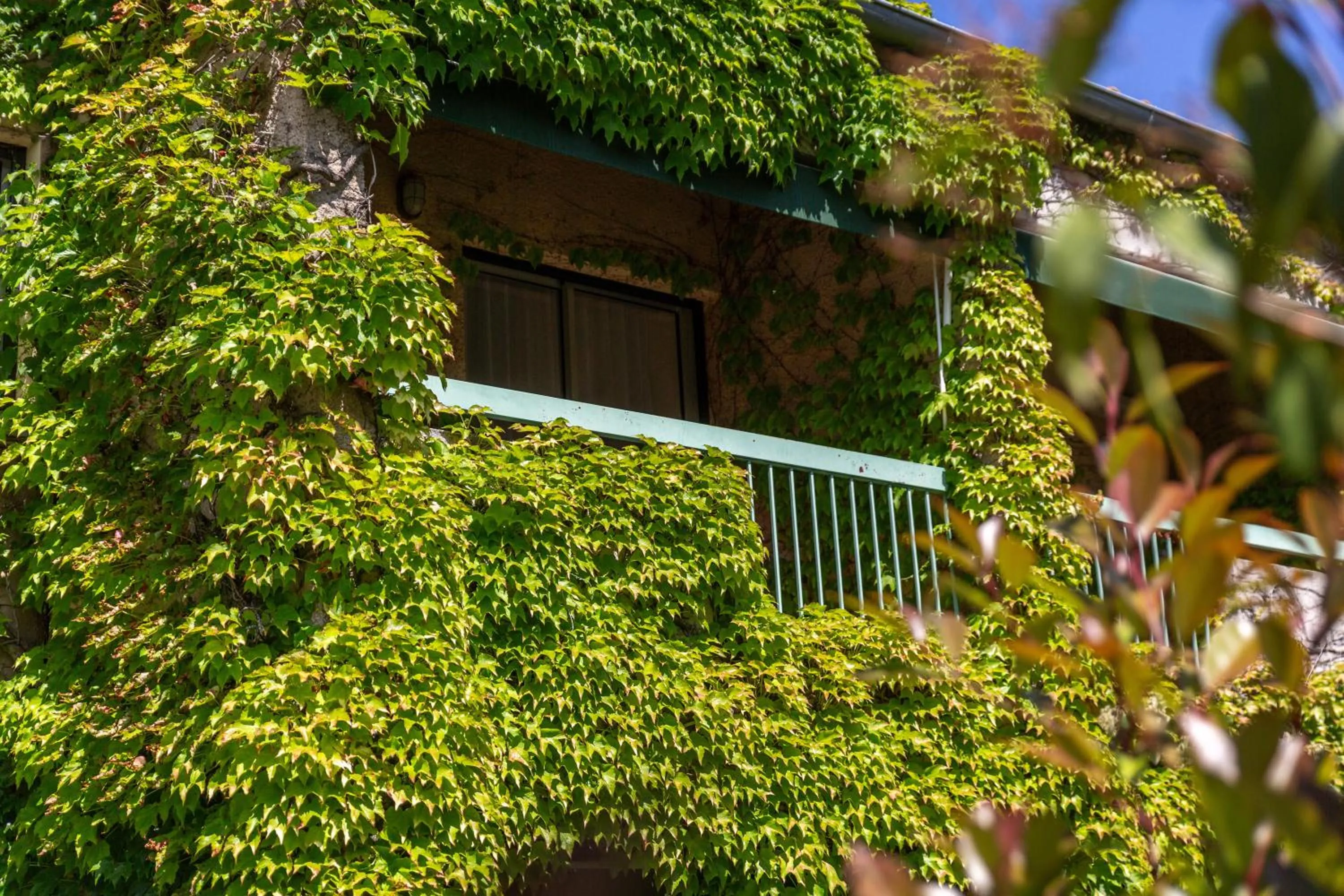 Property building in Hôtel & Résidence Lou Paradou Gréoux Les Bains