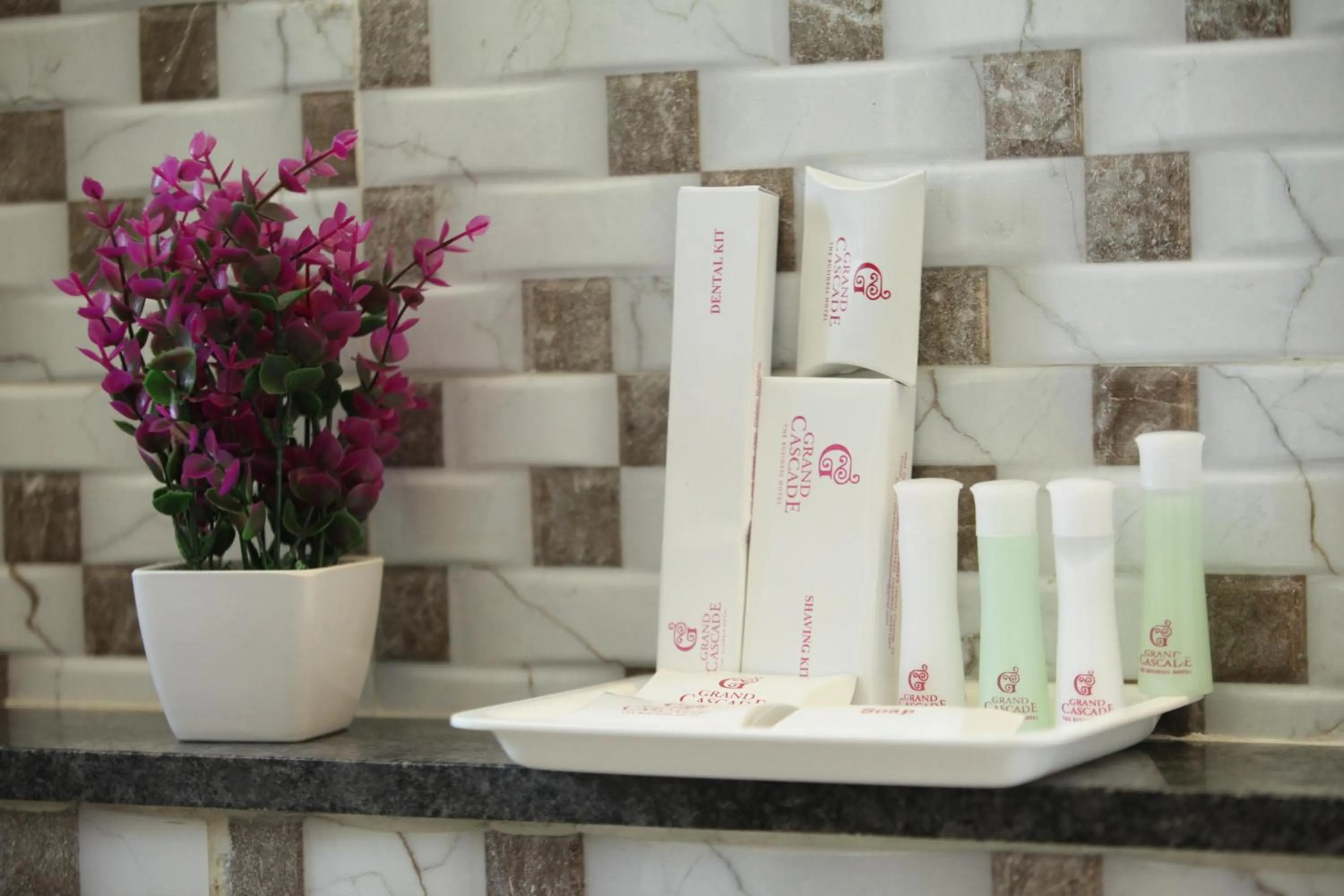 Decorative detail in Grand Cascade Chennai