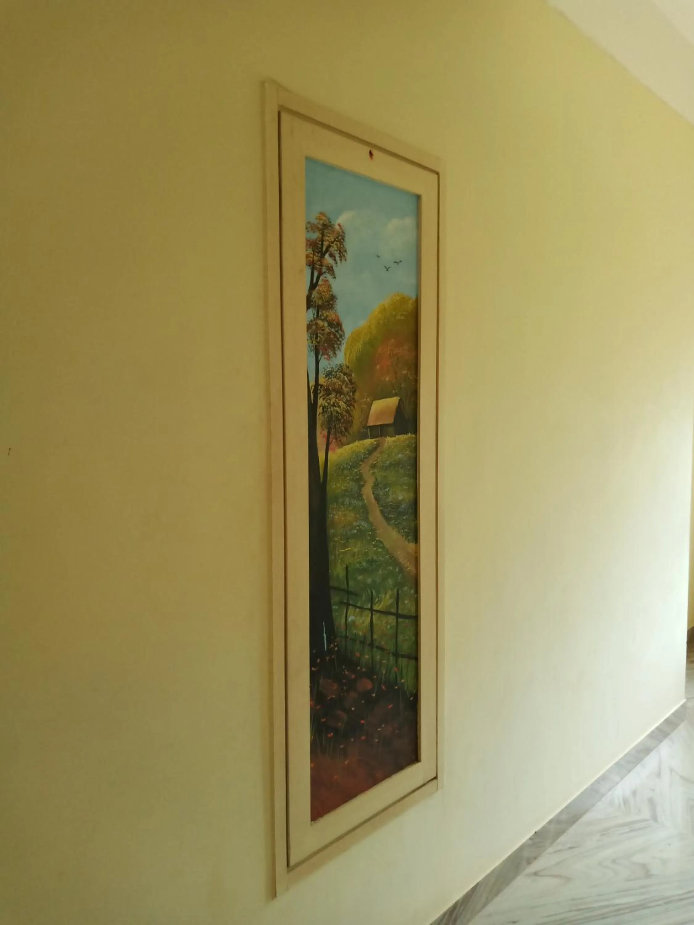 Area and facilities in Hotel Victoriyah