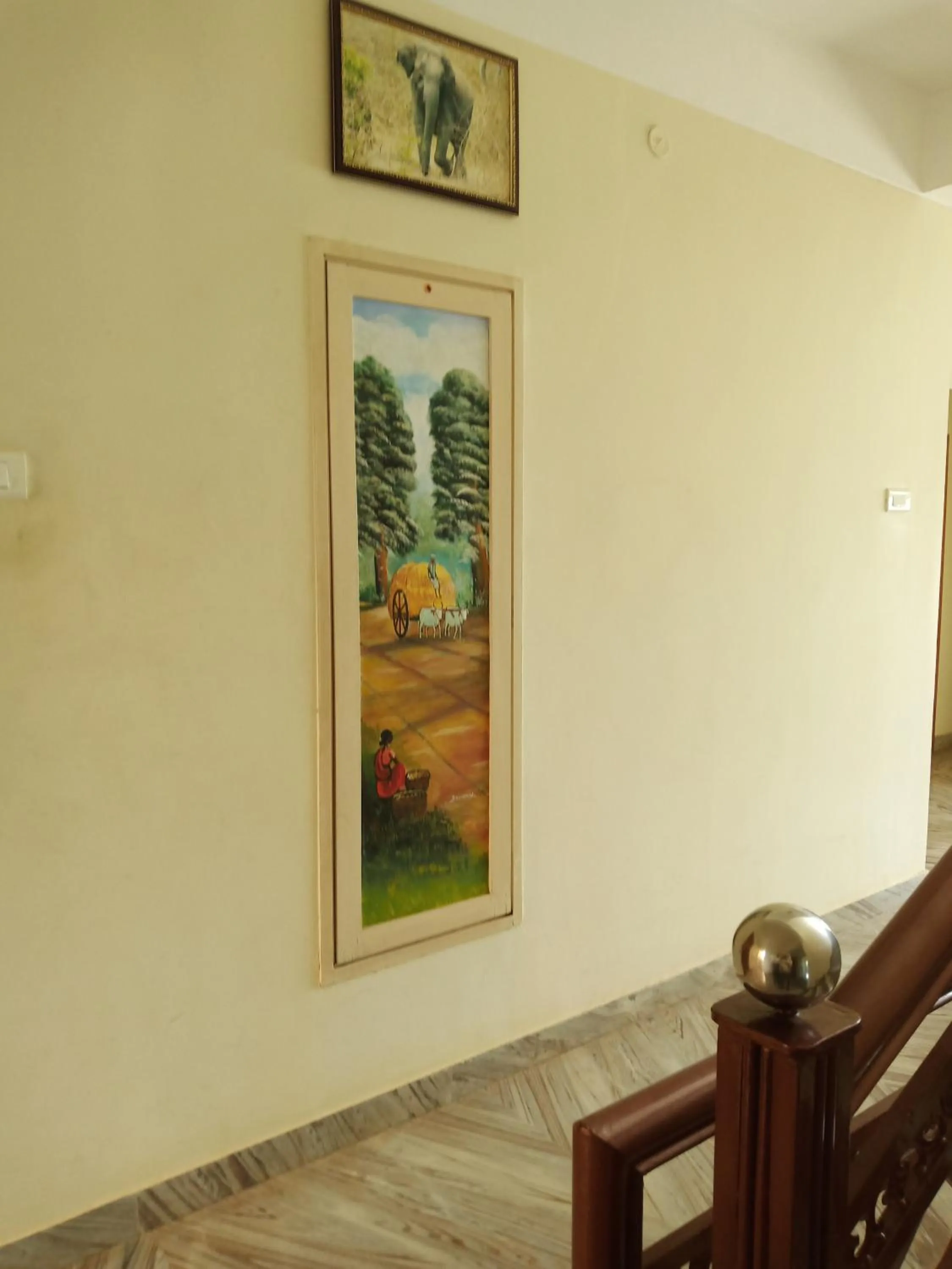 Area and facilities in Hotel Victoriyah